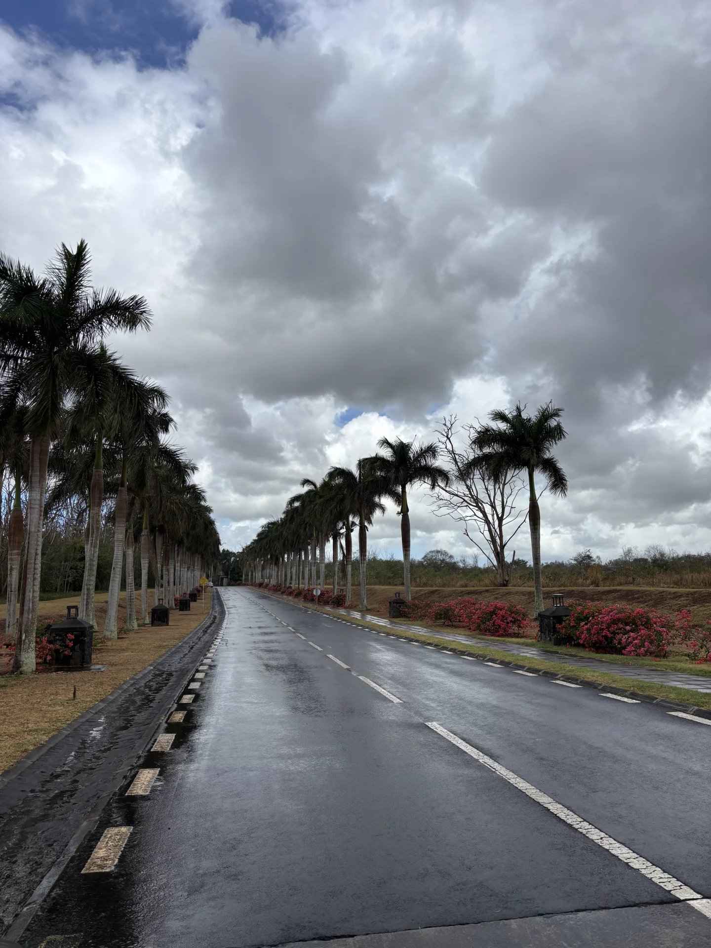 17aba8d71c2177b2ab852007eced67be 67ba71f7c5 1920 original - Translation missing: en.helpers.application.image_tag.default_alt