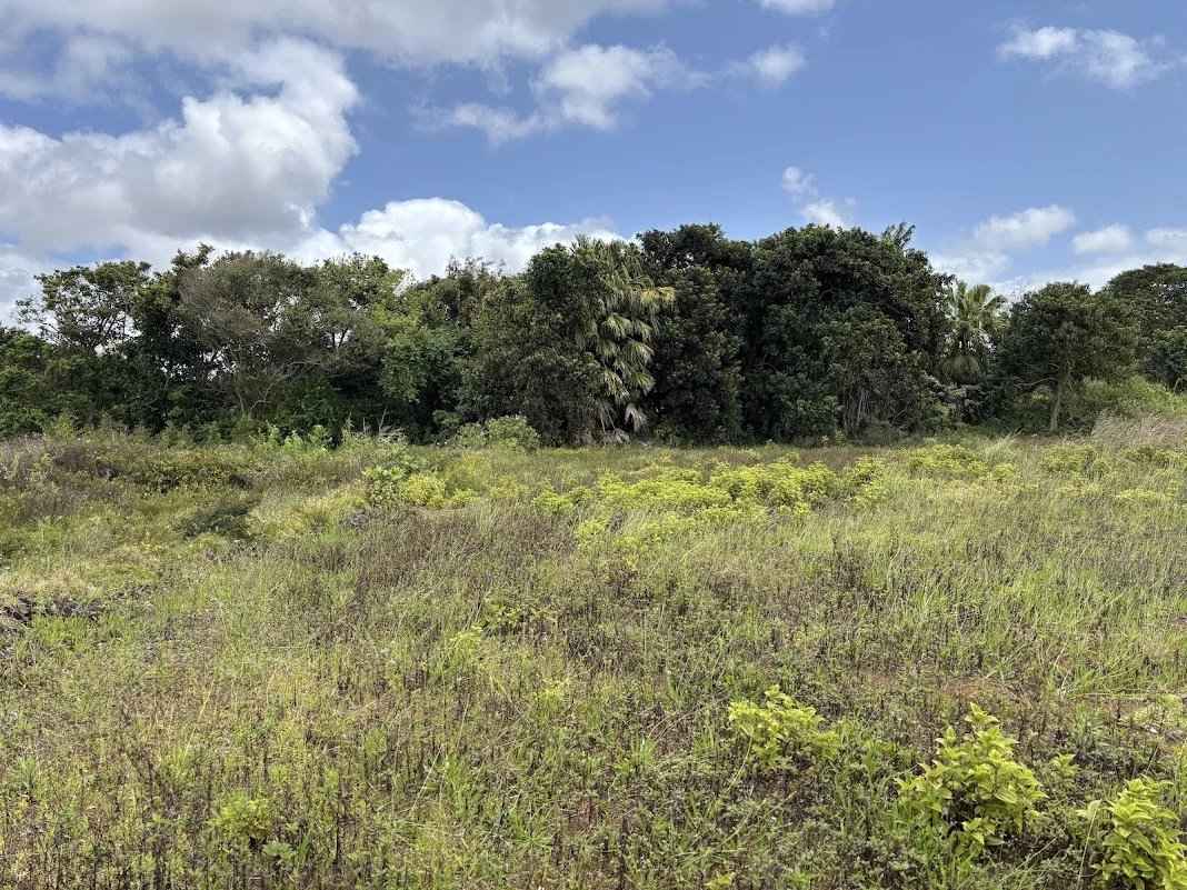 32010e5e99aae51f4dd56a5da227449e 74a6315c67 1068 original - Attribut alt par défaut.