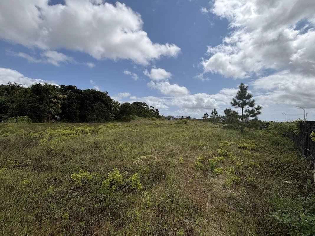 A2b364bfff910f9f6ec1bf4a29b8ab2b 4657f276d3 1068 original - Attribut alt par défaut.