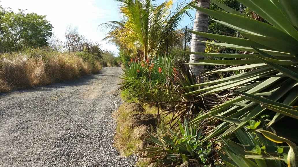 088148a98d75c5e061012cc77958c64b 8e8840c88b 1032 original - Attribut alt par défaut.