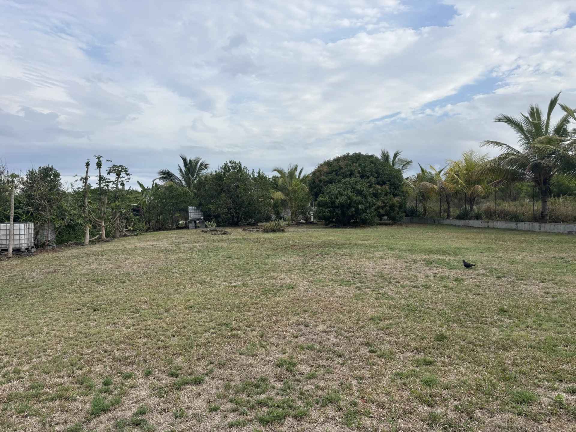 Fa60c2cb47bbdd7eb11ac61ee81cf649 2d0437cce0 1920 original - Attribut alt par défaut.