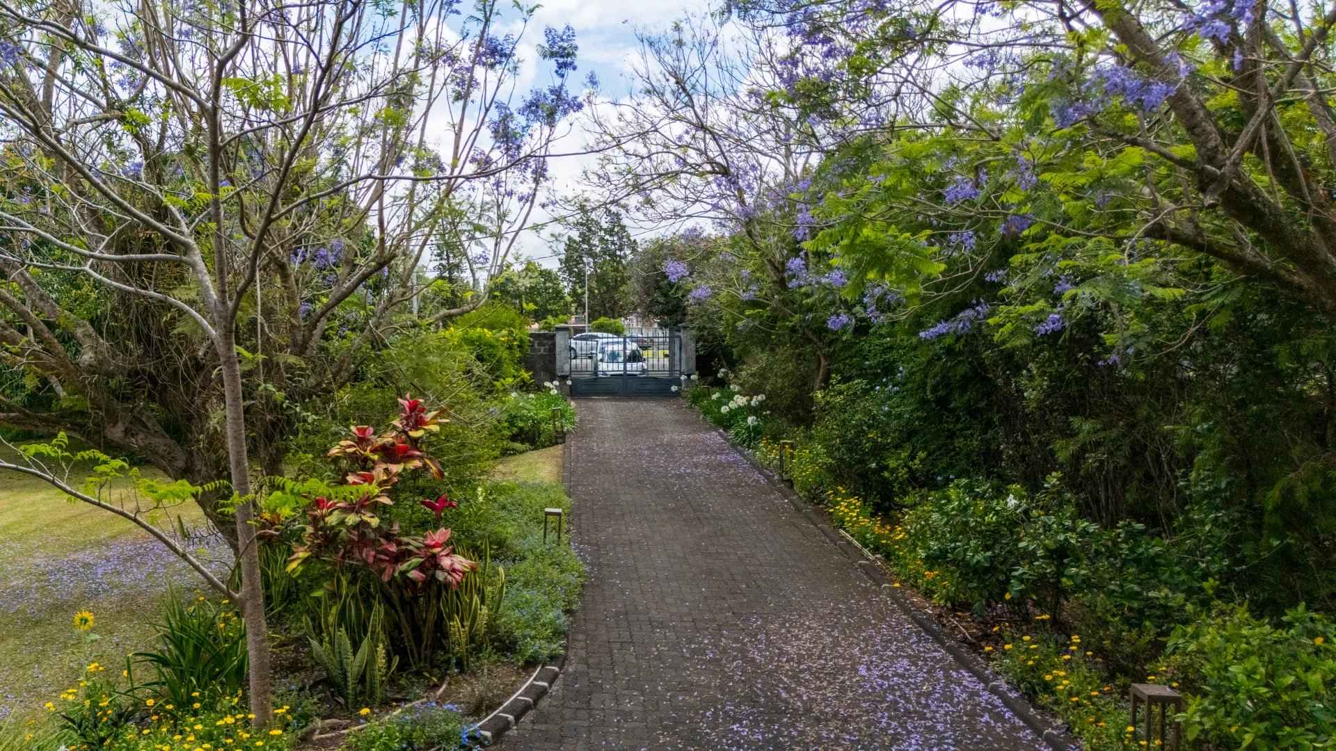 C518333076c7251db48eea7f07c13d2e 2206a54a6d 1920 original - Translation missing: en.helpers.application.image_tag.default_alt