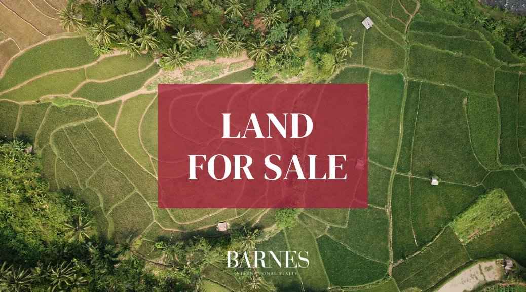 D84b6d8305296ce2376aa0f8e0db8a3c f34843af89 1038 original - Translation missing: en.helpers.application.image_tag.default_alt