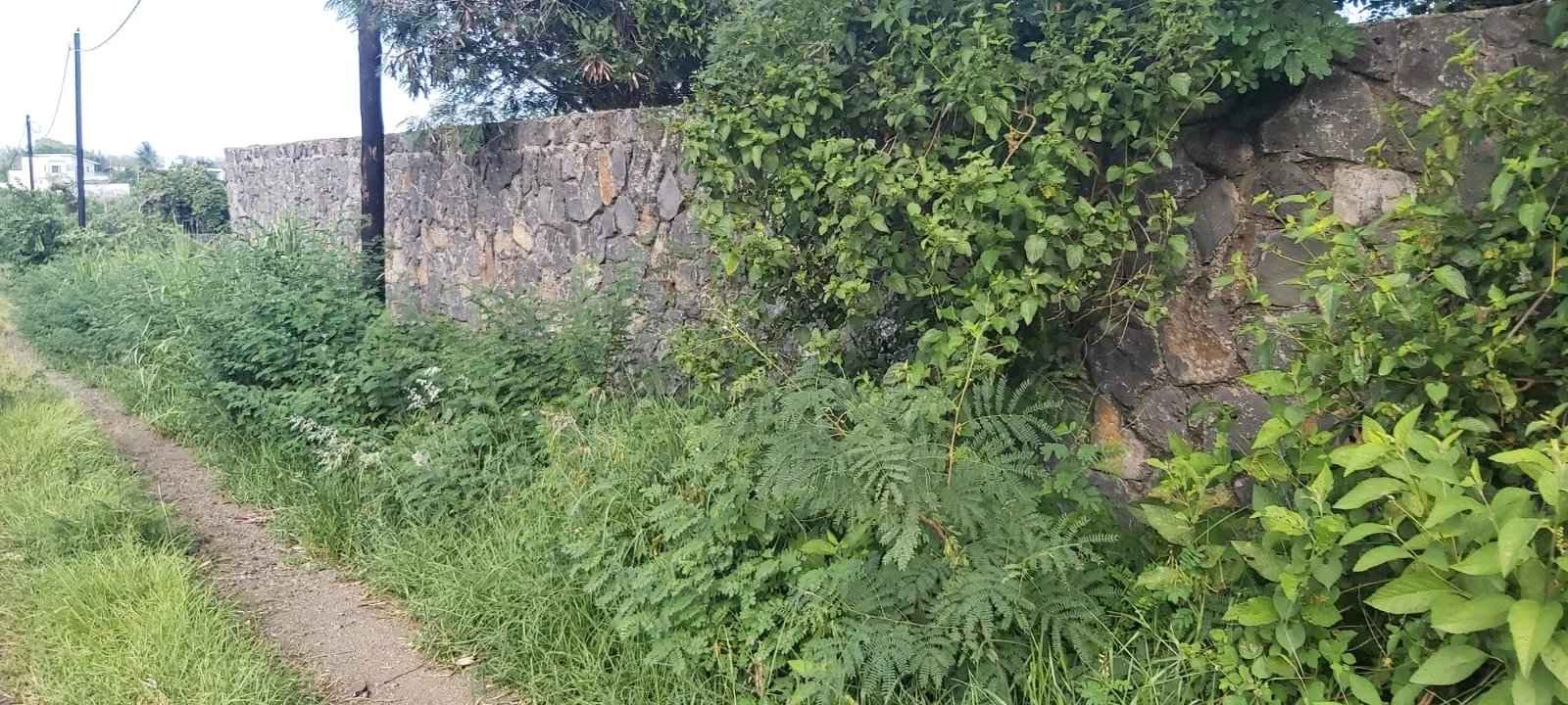 9d16d8a4d9841a091c100652b574652a 45ea7a7639 1600 original - Translation missing: en.helpers.application.image_tag.default_alt