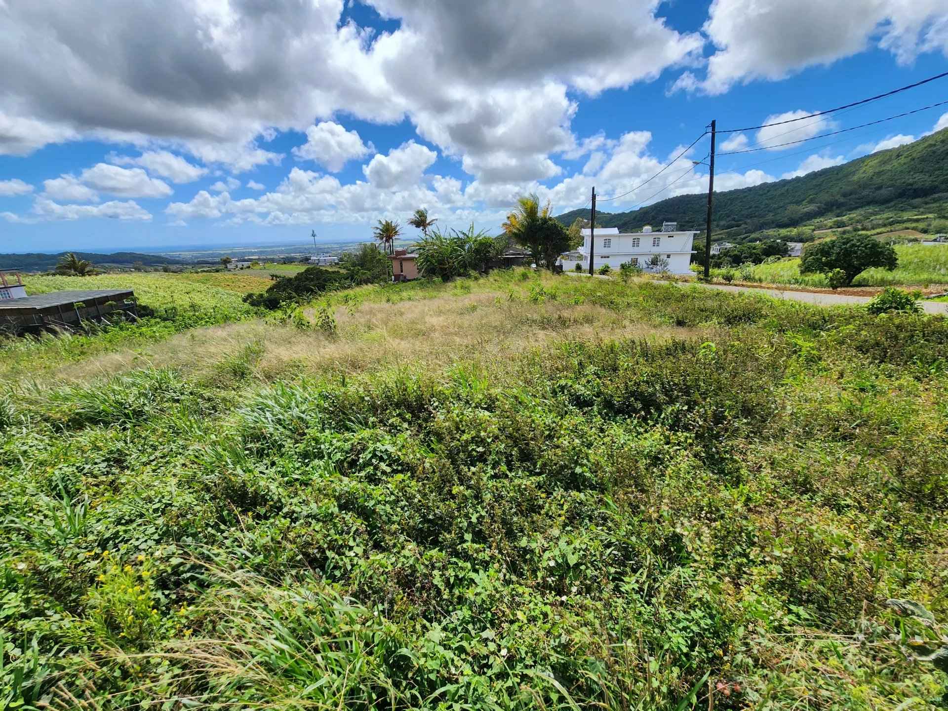 Bf1362c84145ccbe14c68e7c1e4dc519 df4085503c 1920 original - Attribut alt par défaut.