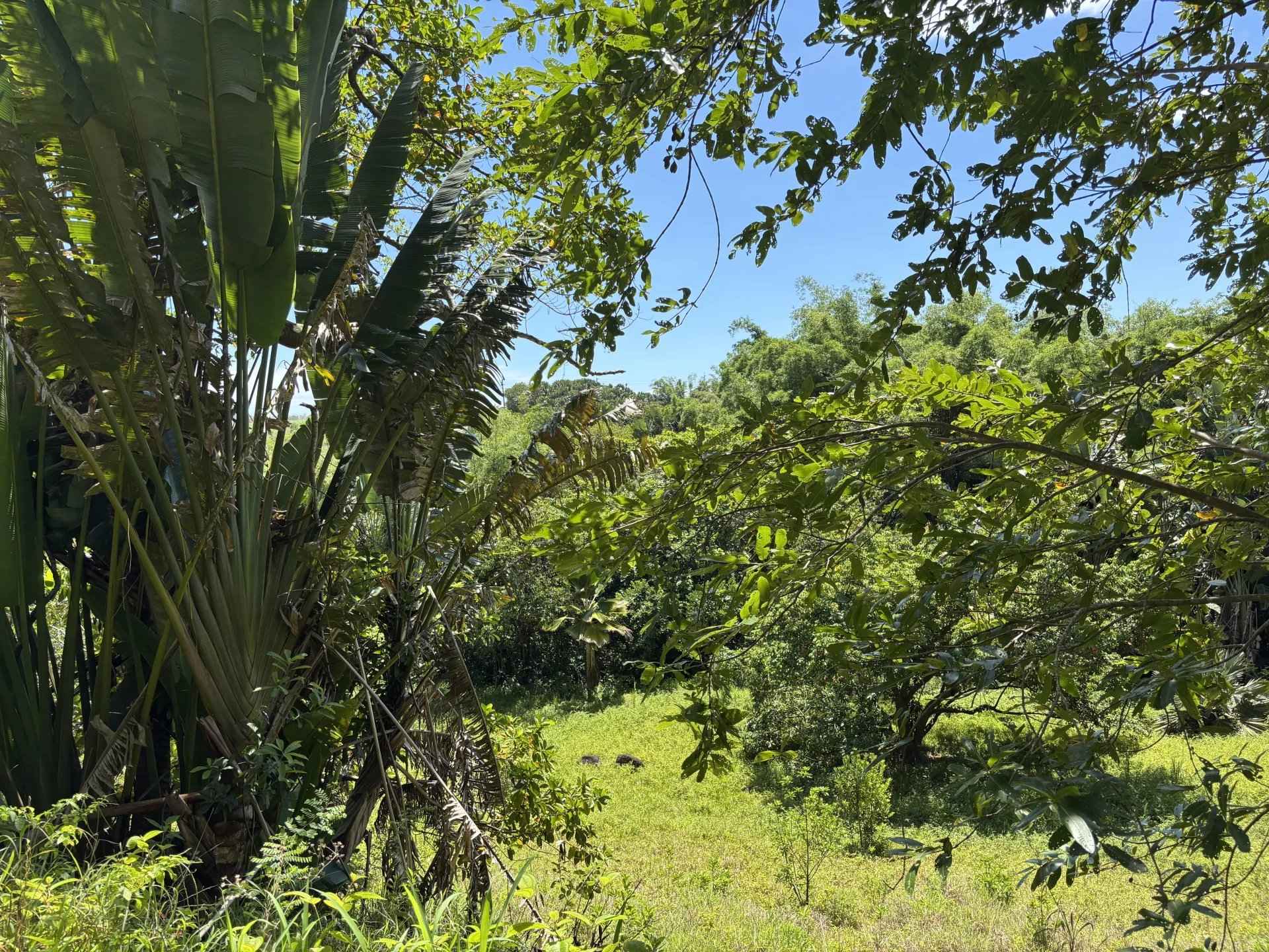 6708b5fb032326aaacd2ff13eb7a219b 67005bf7f9 1920 original - Attribut alt par défaut.