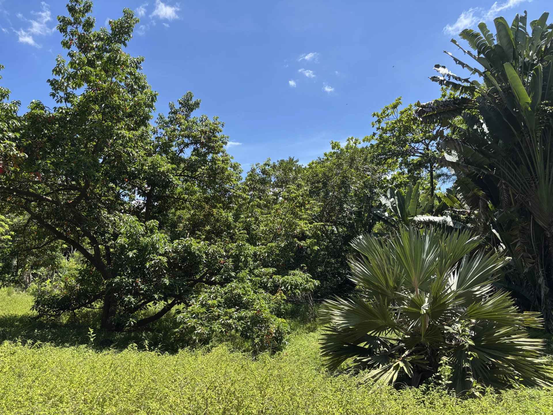 0a3397ed1c81c56bd2ac84548e52f7f2 845db596bb 1920 original - Attribut alt par défaut.