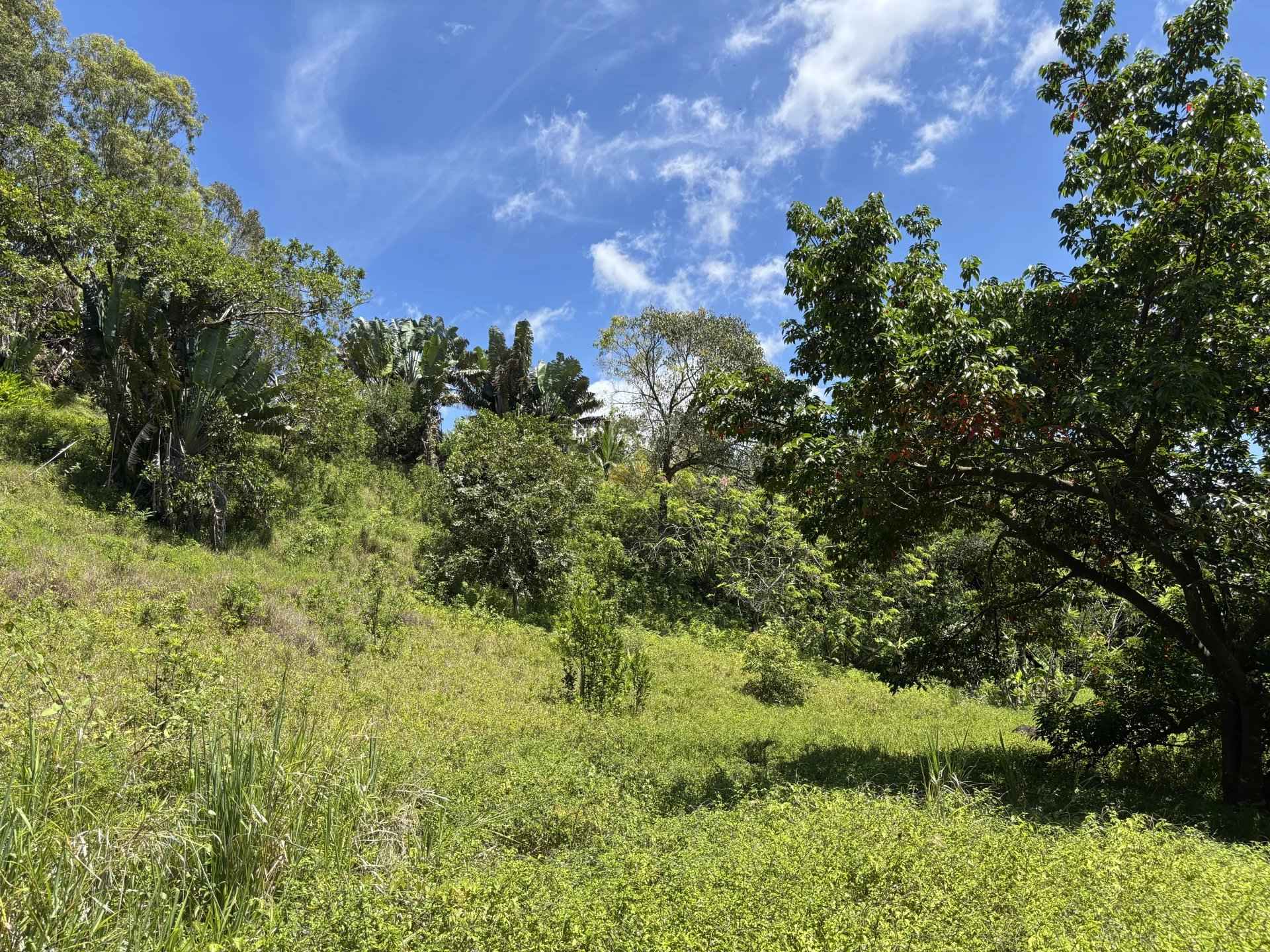 090160c81e830426ffe49eb25729269b 681d08314b 1920 original - Attribut alt par défaut.