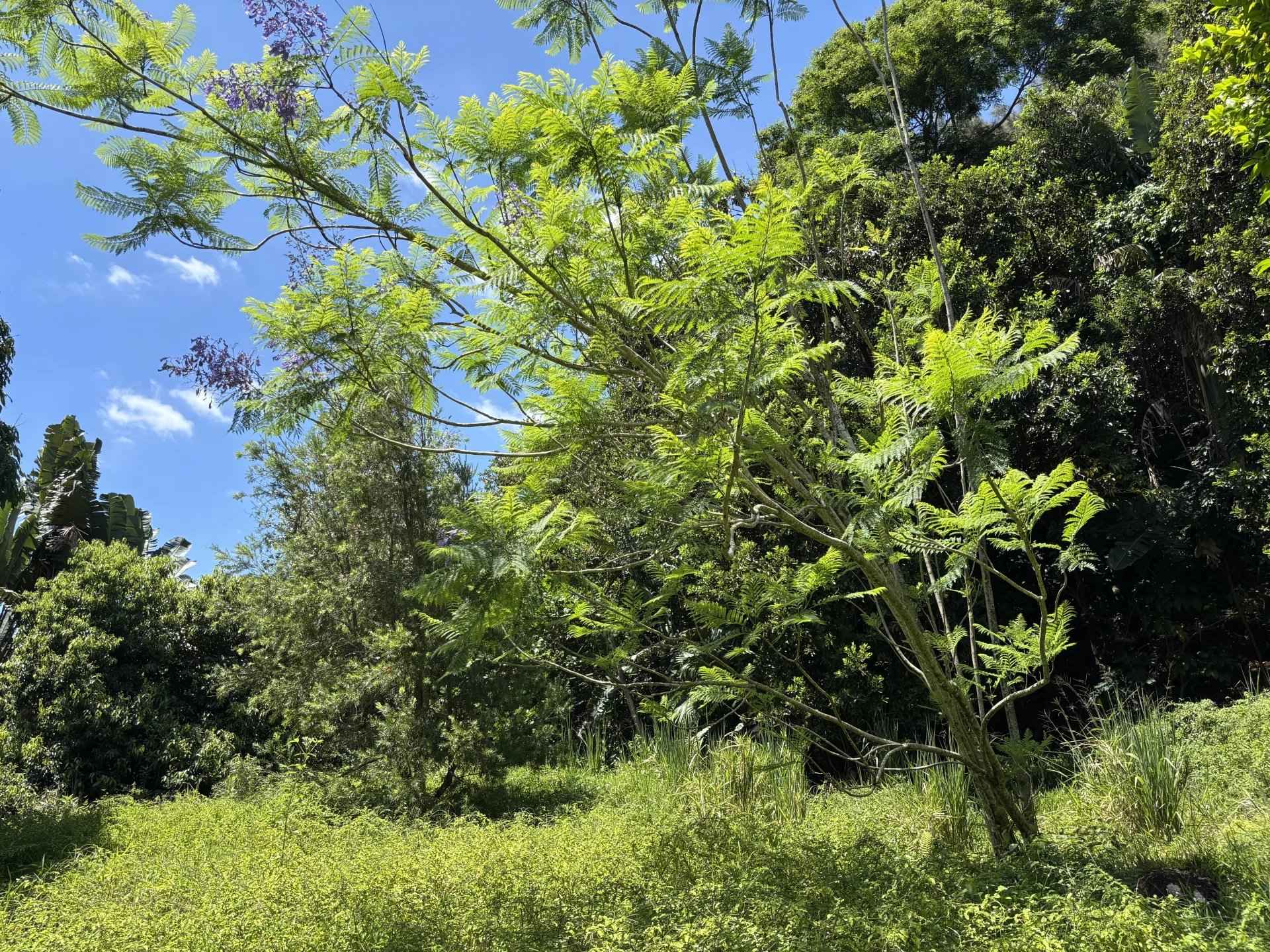 0c75412575bbbd7dc1e4661b28b47bc7 ae6b69b480 1920 original - Attribut alt par défaut.