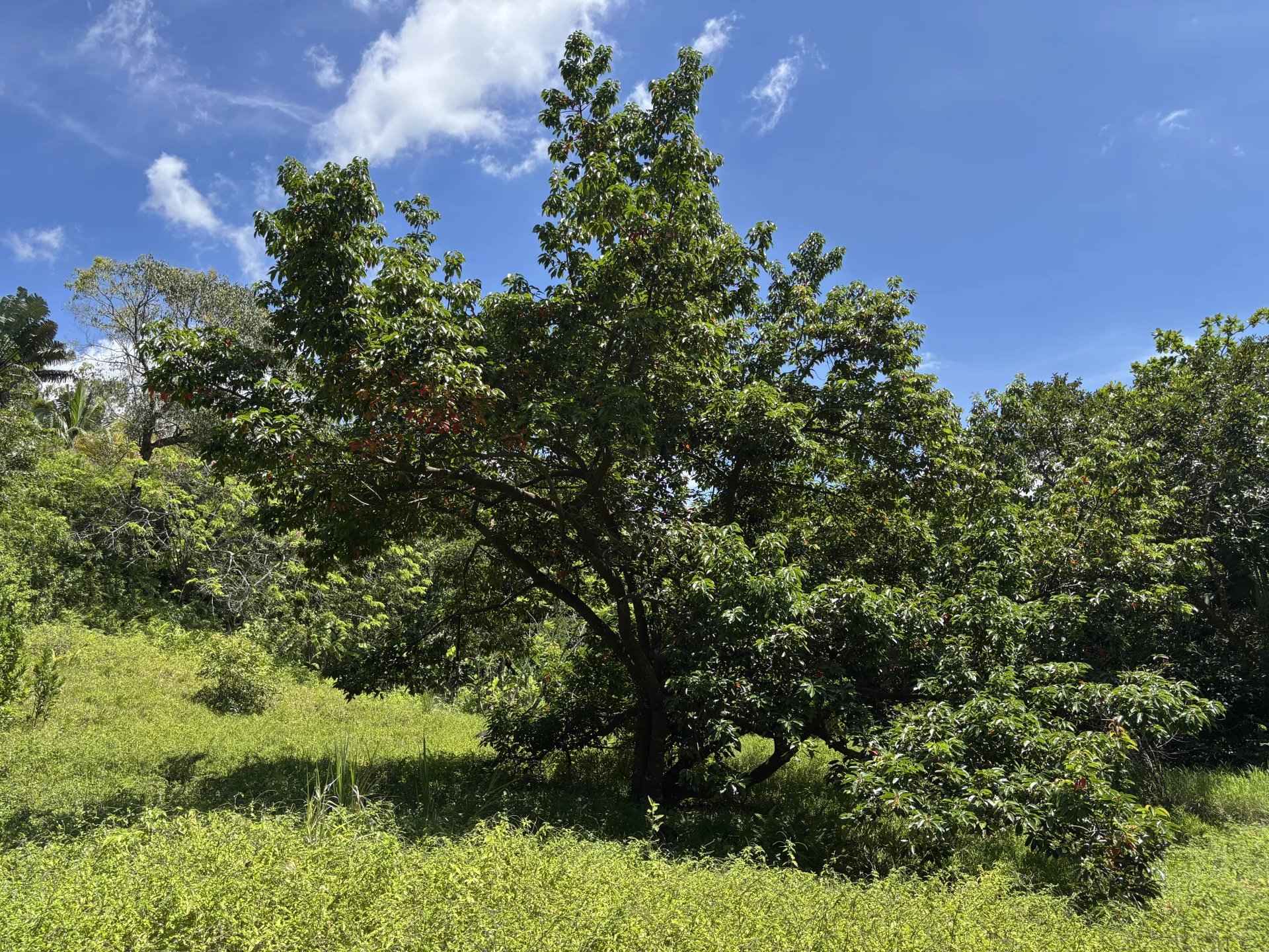 1299c3f9ea059eaffc4637707bb9c8e1 182f7b5bd5 1920 original - Attribut alt par défaut.