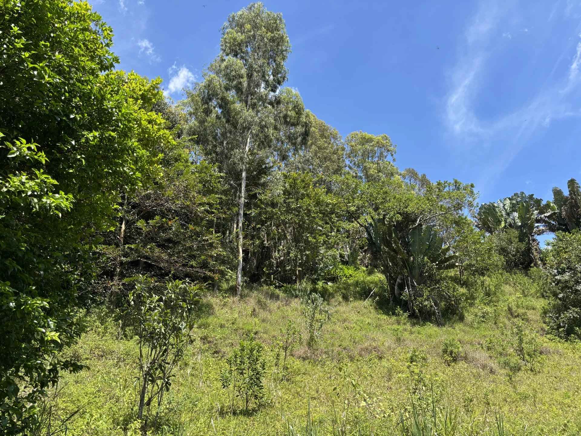 34220a6253243f00ab89e5a27b29c796 873b429cdb 1920 original - Attribut alt par défaut.