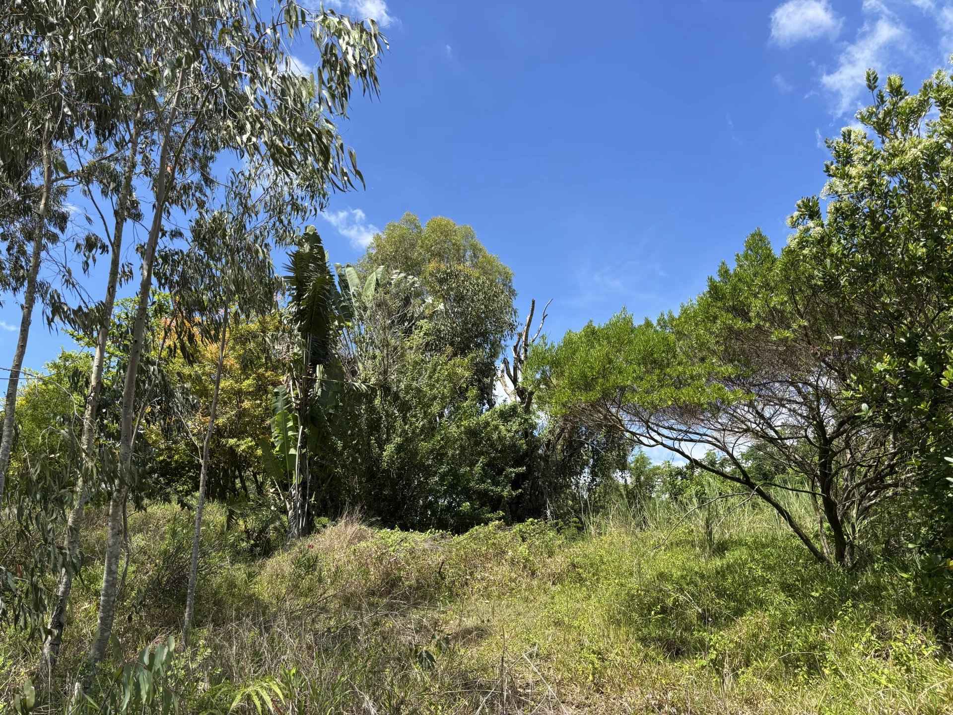 0d61ece0a88c247f36e32545905483b9 ca539cf773 1920 original - Attribut alt par défaut.