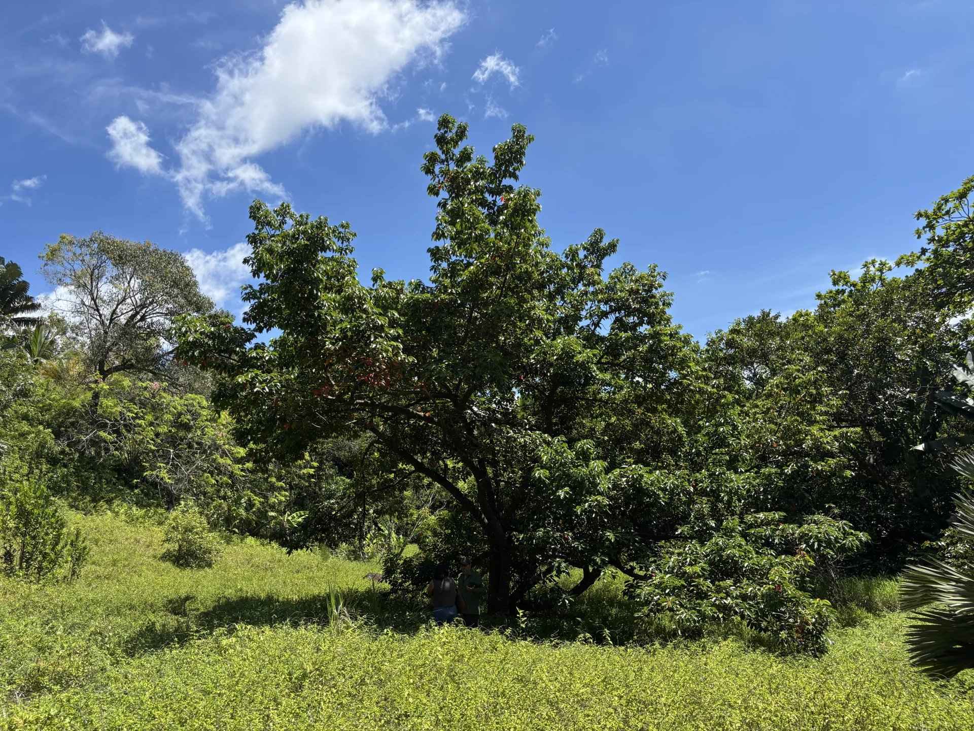 03fc9311846f878ca351223621bcf730 86c7306d28 1920 original - Attribut alt par défaut.