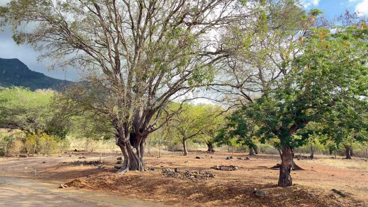 1ed0ef19c500a9013031cacf6e3802b0 70b1f3647e 1280 original - Attribut alt par défaut.