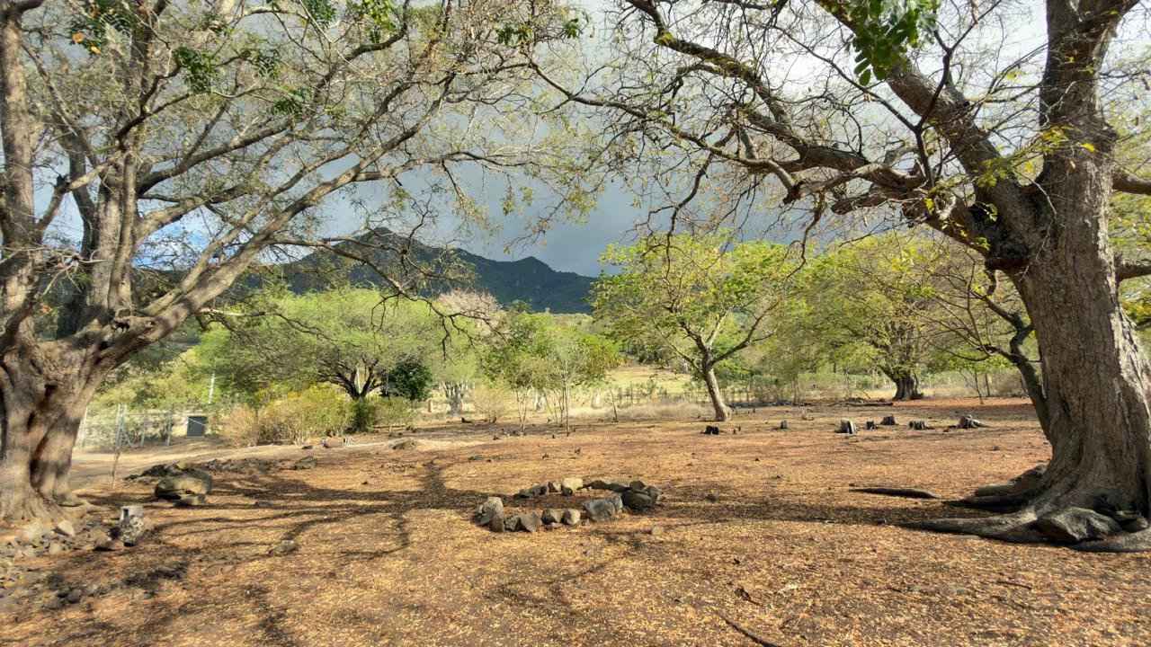 37175a554b1f6d4fbe91e5278e43f0e7 0d7949827f 1280 original - Translation missing: en.helpers.application.image_tag.default_alt