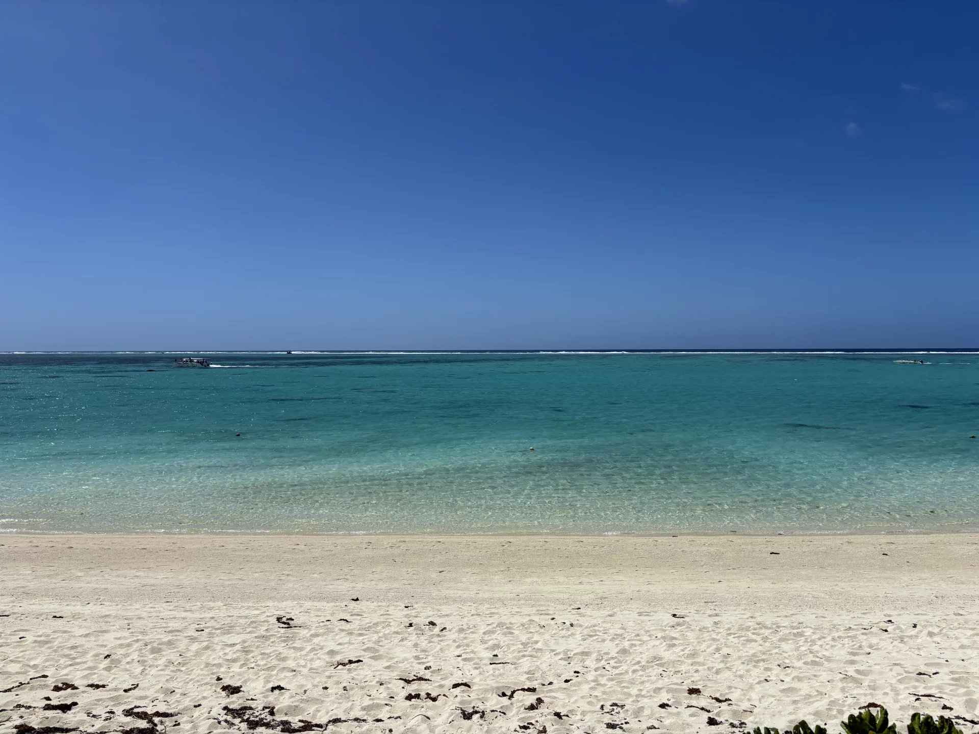 1a7afc89cce6ab4d052ae4e9a73ab668 c1b90169fa 1920 original - Attribut alt par défaut.