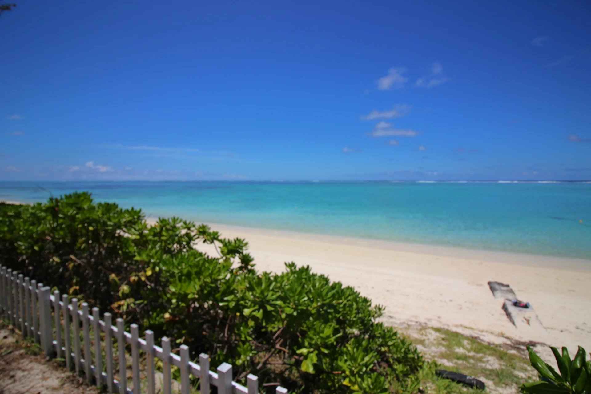 D005af1b8e0a276cbf1bcdaa3fcb9a66 b0e8964ba4 1920 original - Attribut alt par défaut.