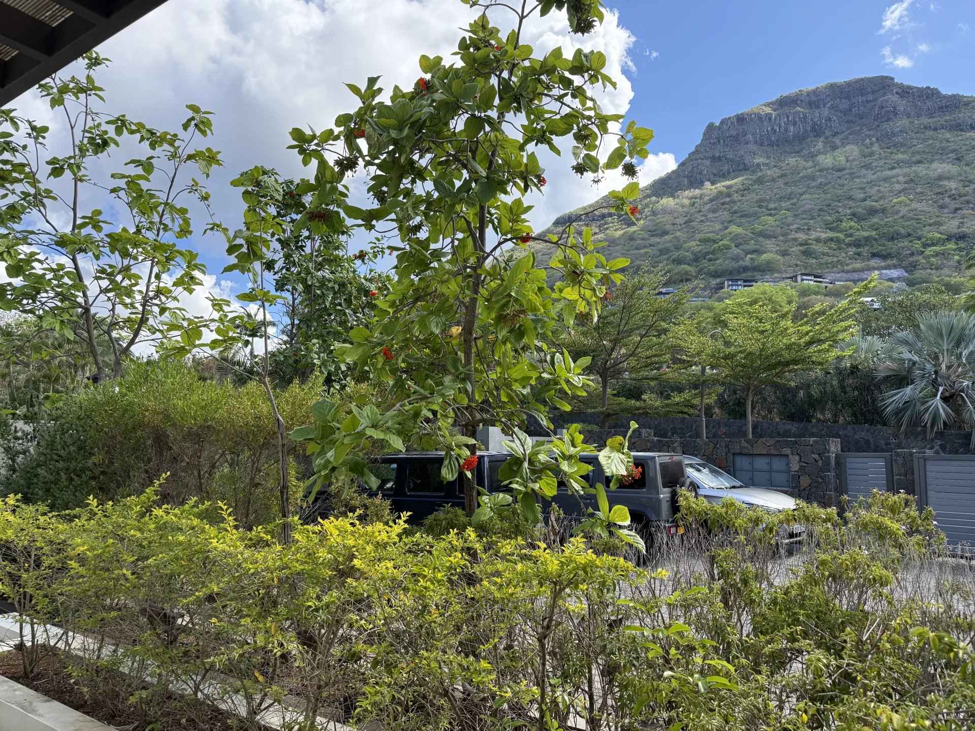 E654671ef6b2f5b469738e558307137c 686289bf28 1920 original - Translation missing: en.helpers.application.image_tag.default_alt