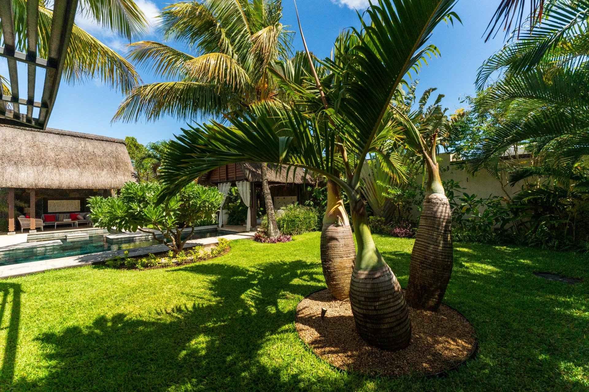 C367056ee3bc8e6d873ff97e30cb100b e73ce64677 1920 original - Translation missing: en.helpers.application.image_tag.default_alt