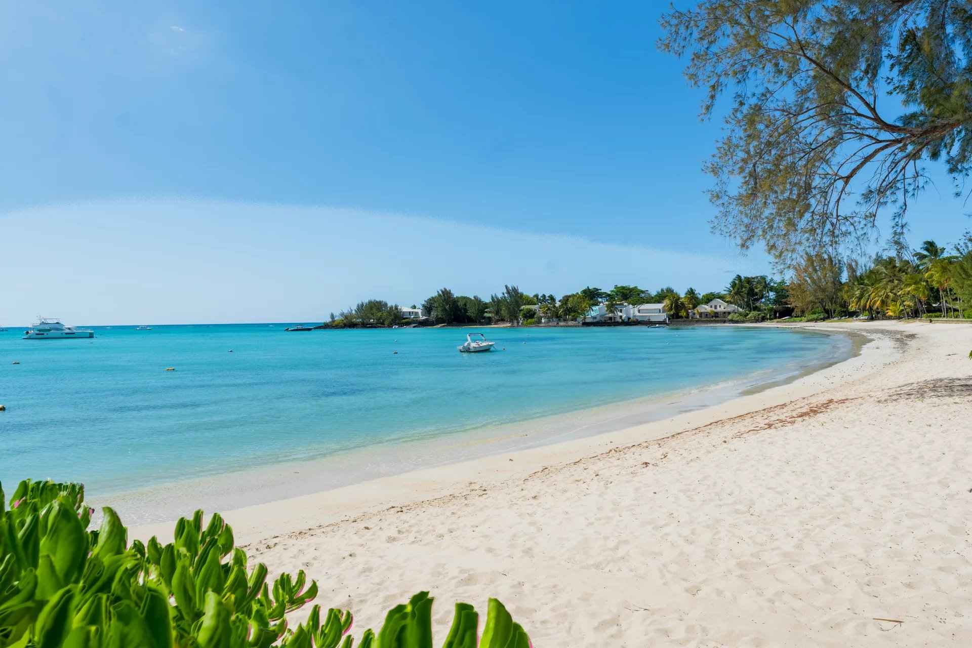 31bef940a21dc46b03bced51cc6092e6 2249aaabb8 1920 original - Attribut alt par défaut.