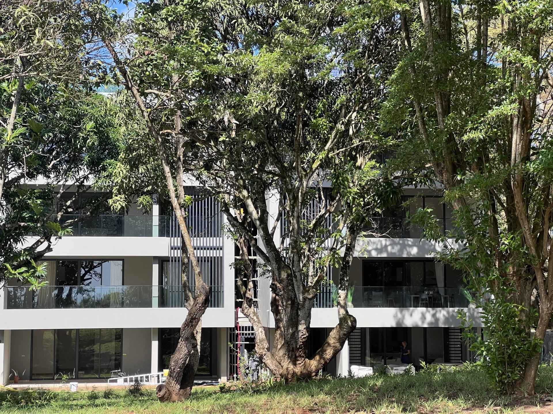 C7dfad5073650757c48aa01e3c82773e 6a9878a7e5 1920 original - Translation missing: en.helpers.application.image_tag.default_alt