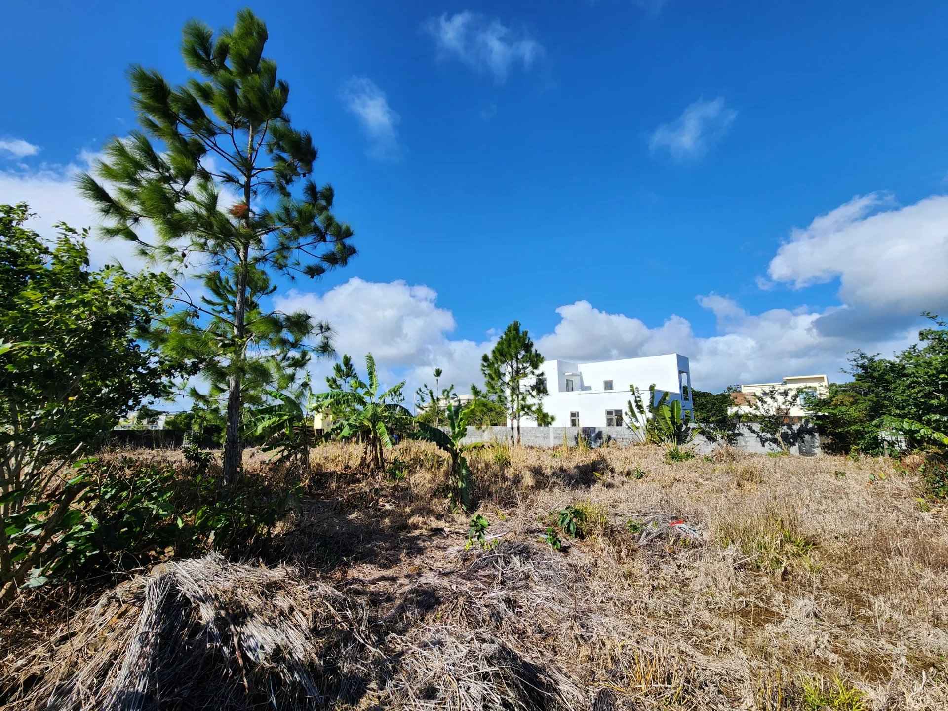 8a33013746e07a99de25507a170e615f ad37992f6e 1920 original - Translation missing: en.helpers.application.image_tag.default_alt