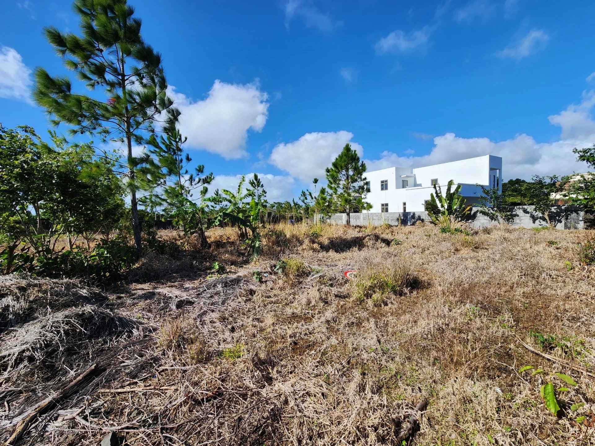 6dd40a72b8d268a49e65bde1c782f0dc 5e4f041348 1920 original - Translation missing: en.helpers.application.image_tag.default_alt