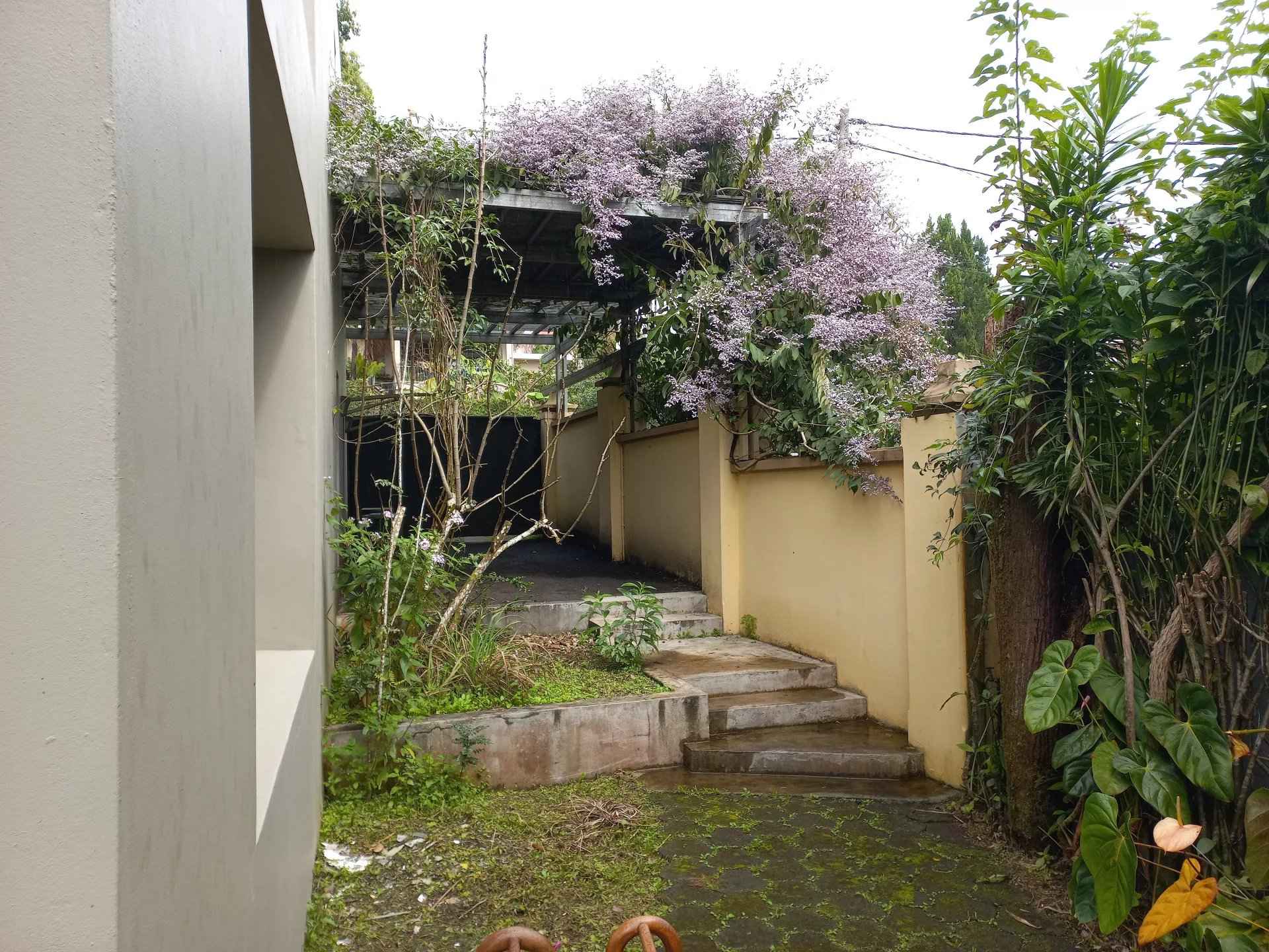 74ac02d1c9e8e74c6a6d57a2d8e1046b 1350dff68a 1920 original - Translation missing: en.helpers.application.image_tag.default_alt