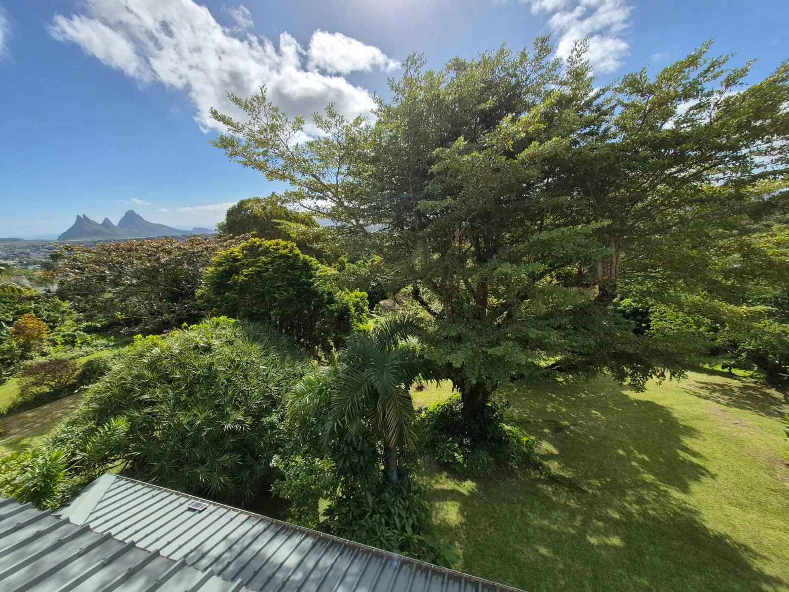 394baaf94ba09a040ee5f0a09d1139de df592cd7e9 1600 original - Translation missing: en.helpers.application.image_tag.default_alt