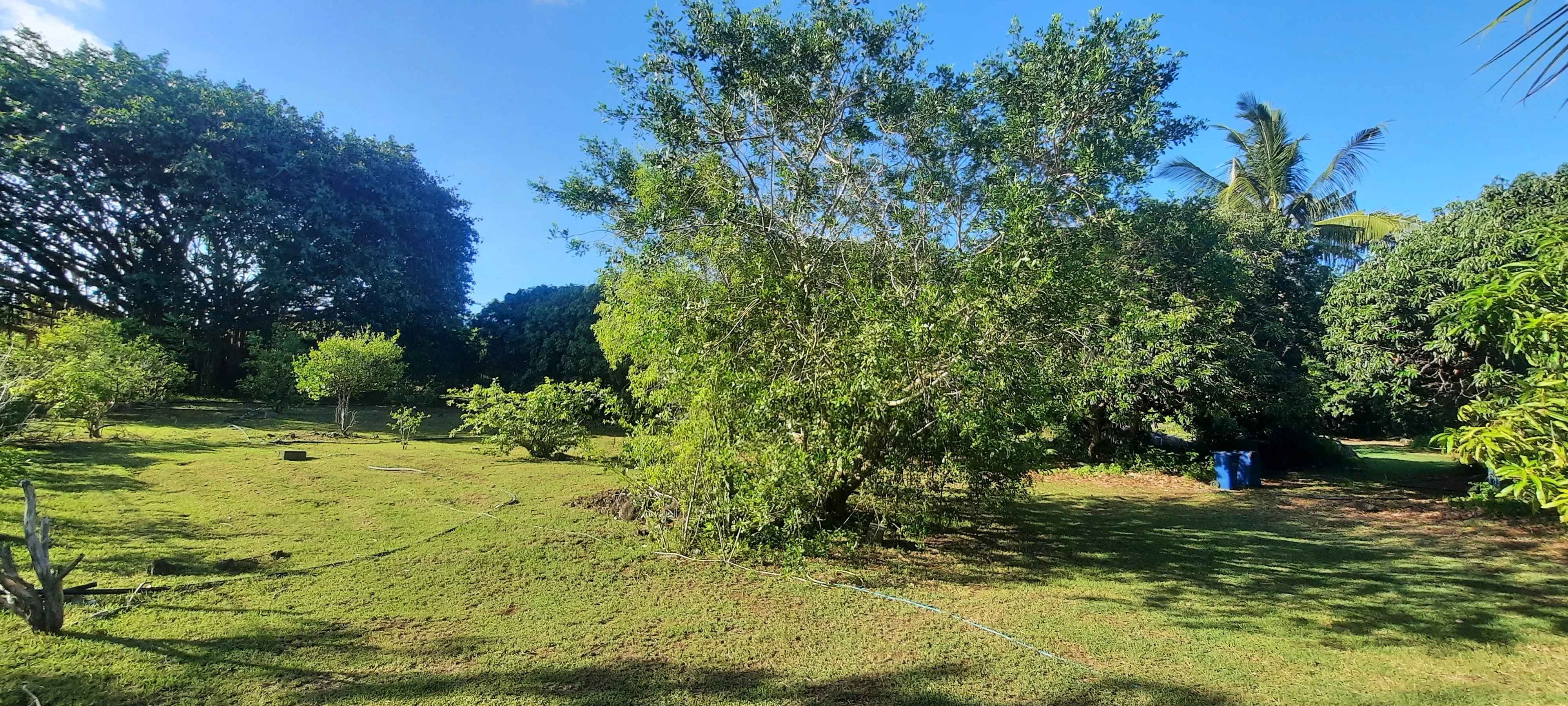 6c5b3c8e49396714b412f54975173738 581fc773f0 4000 original - Attribut alt par défaut.