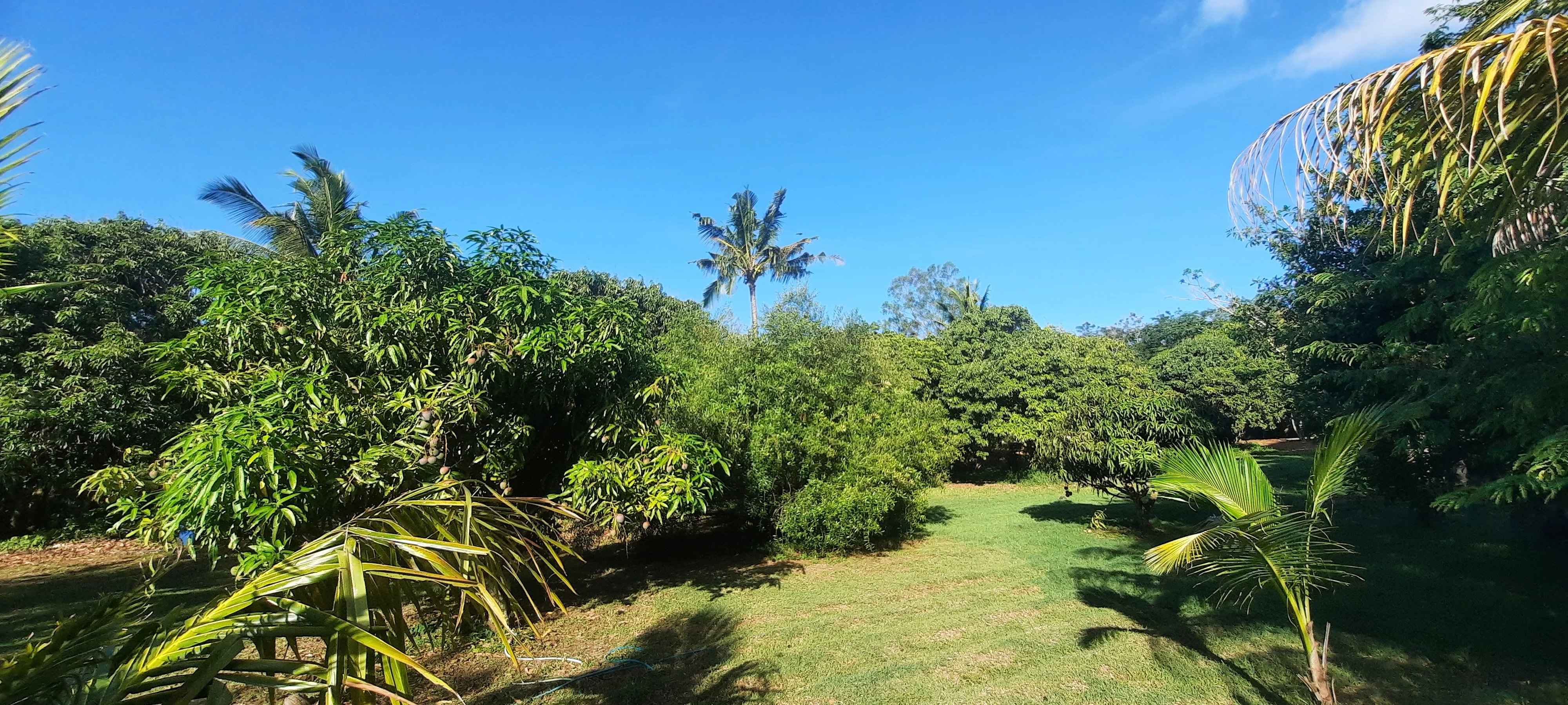 02de3b96c109b822b2cd7297c507070c 66077c1901 4000 original - Attribut alt par défaut.