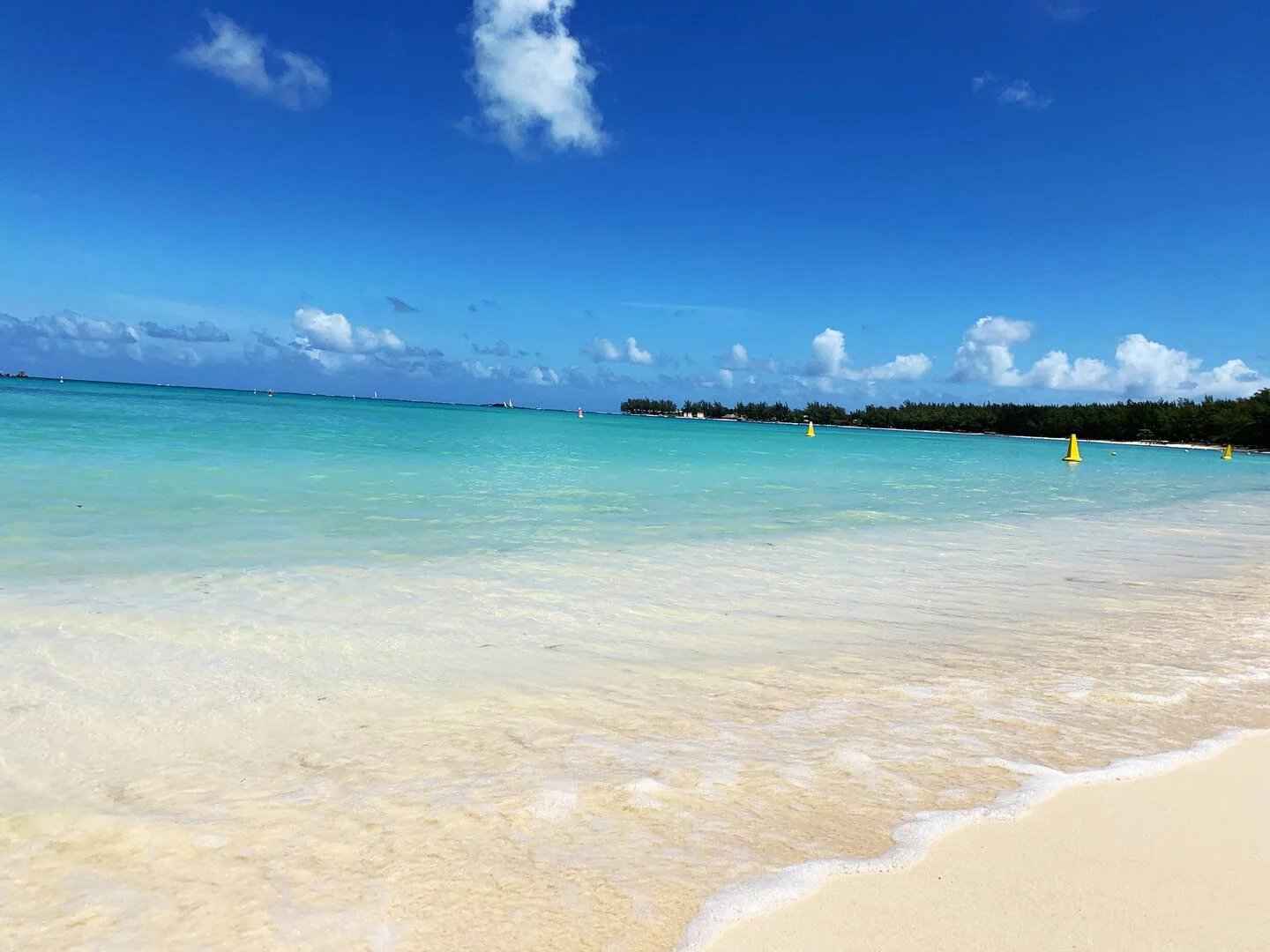 C3df31cc36d4203df2934f6e148fed8d 21e721dce8 1440 original - Attribut alt par défaut.