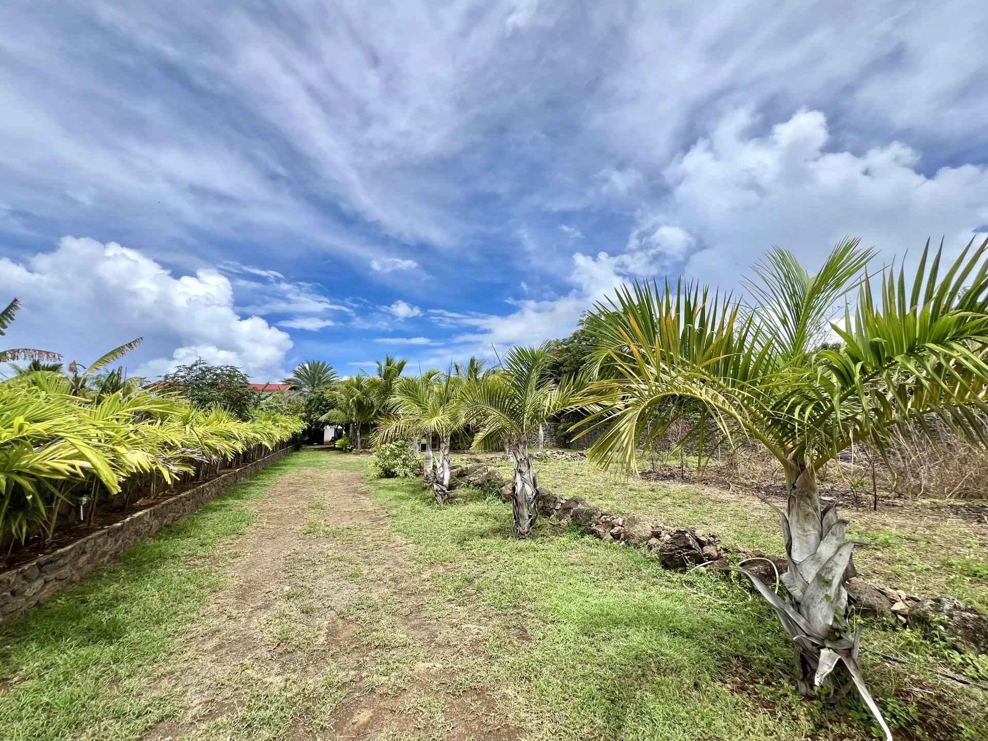 267bb8978bcff8fe0a7c6435876d3984 73fd762fa8 1920 original - Attribut alt par défaut.