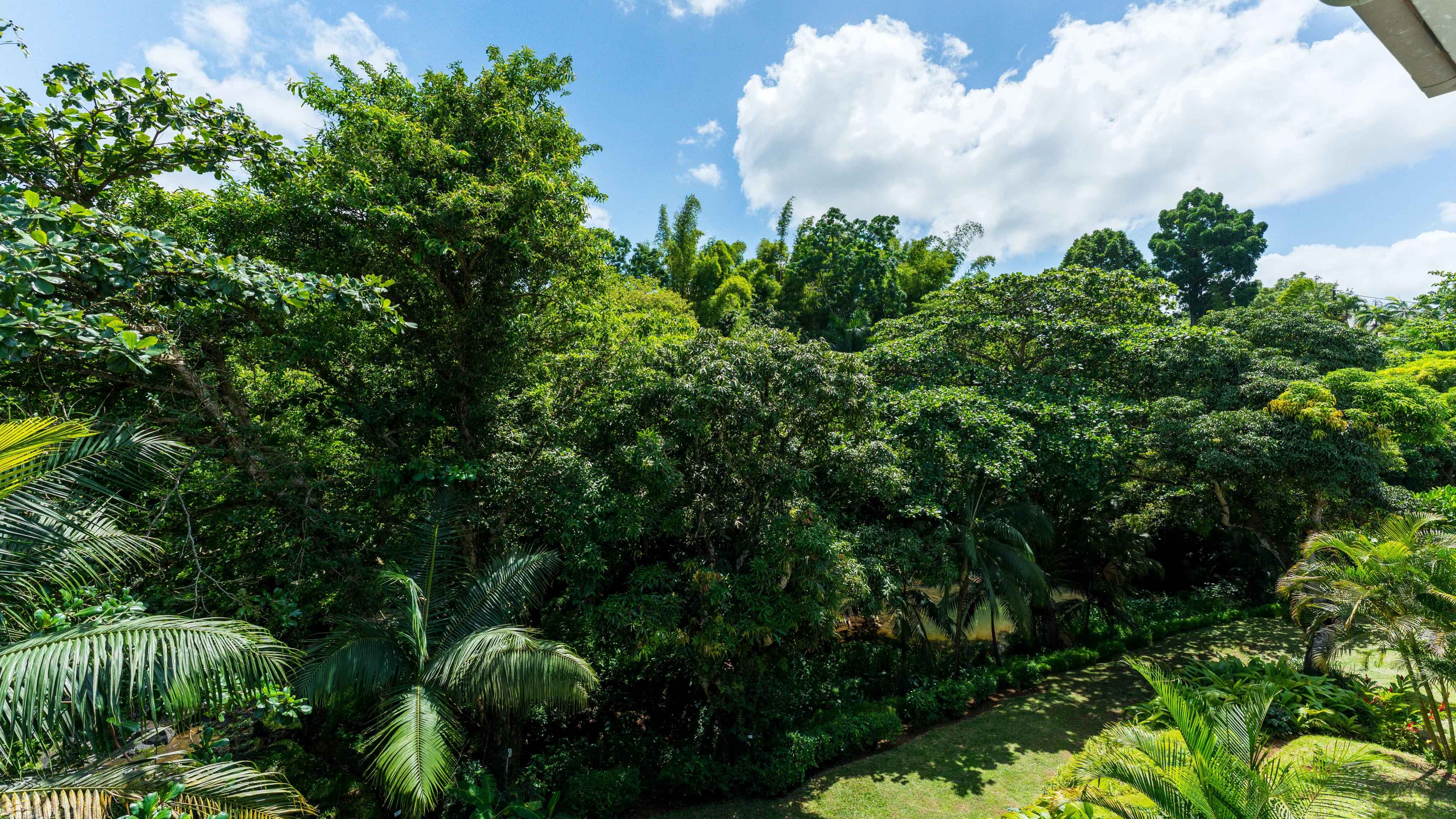 5629a731b55f0eaacd3bd7bb85f0578d e996770447 4096 original - Translation missing: en.helpers.application.image_tag.default_alt