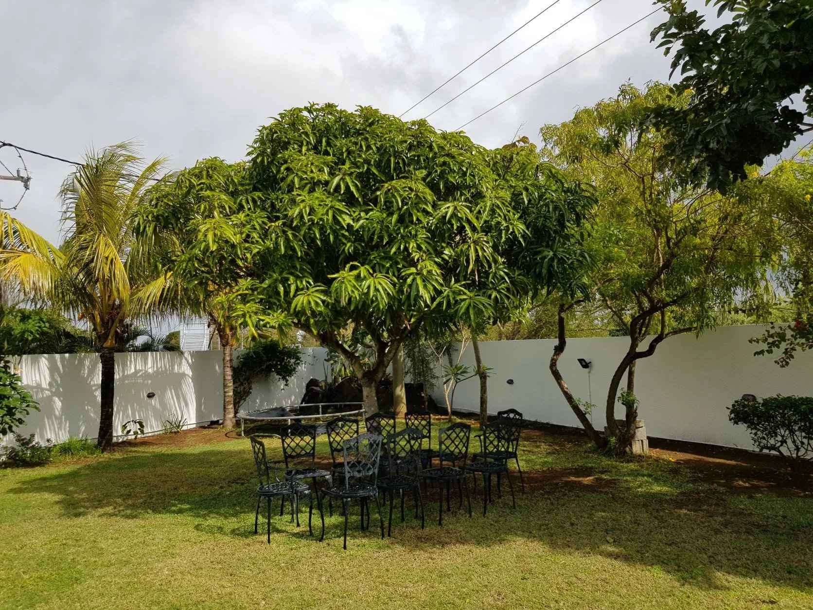 E1b9b30c7570e5f3deaabf5979402aca 0b6e327a0d 1672 original - Translation missing: en.helpers.application.image_tag.default_alt