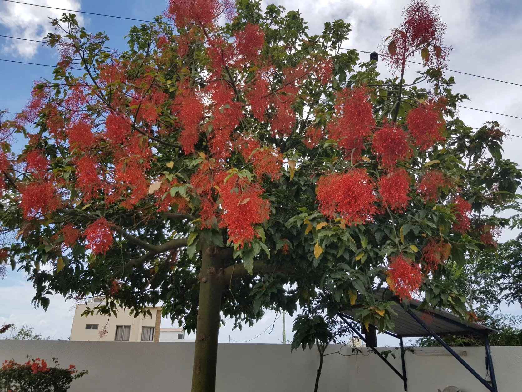 Db637c067dcecbe7ae164f09357d86cb 4f4e25c54e 1672 original - Translation missing: en.helpers.application.image_tag.default_alt