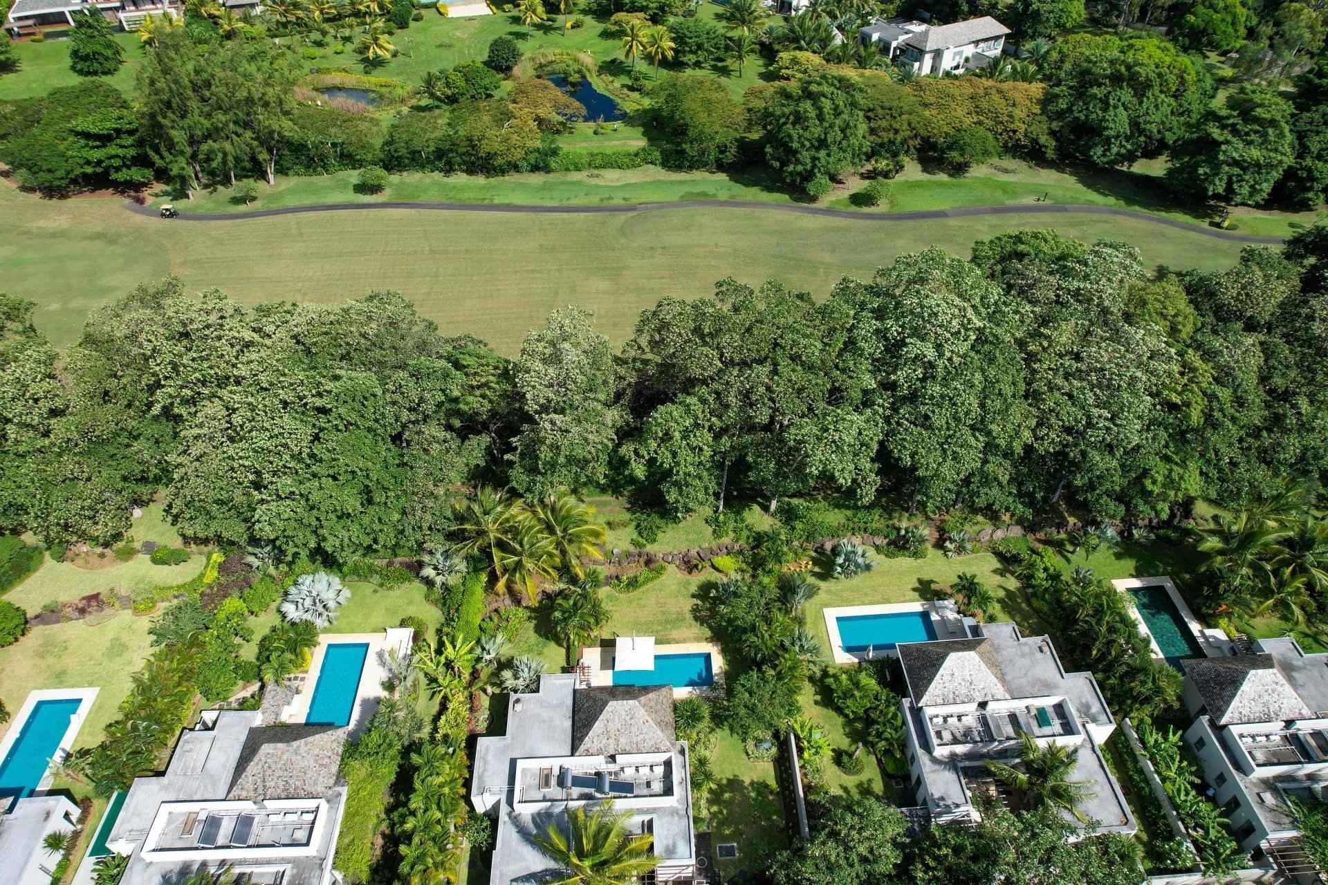 160b21451b9923f0b64890c21da9e70f 997cdf597b 1920 original - Translation missing: en.helpers.application.image_tag.default_alt