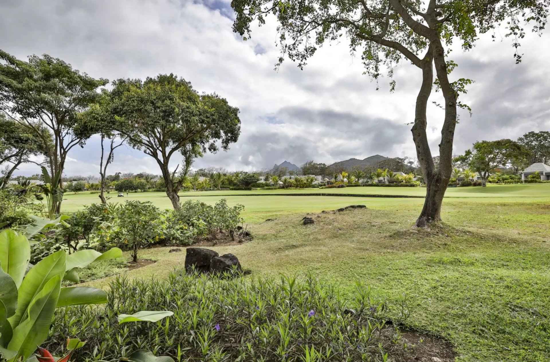 A1de60e3157d736eadb4f53f9a2bc02e 209c56bb21 1920 original - Translation missing: en.helpers.application.image_tag.default_alt