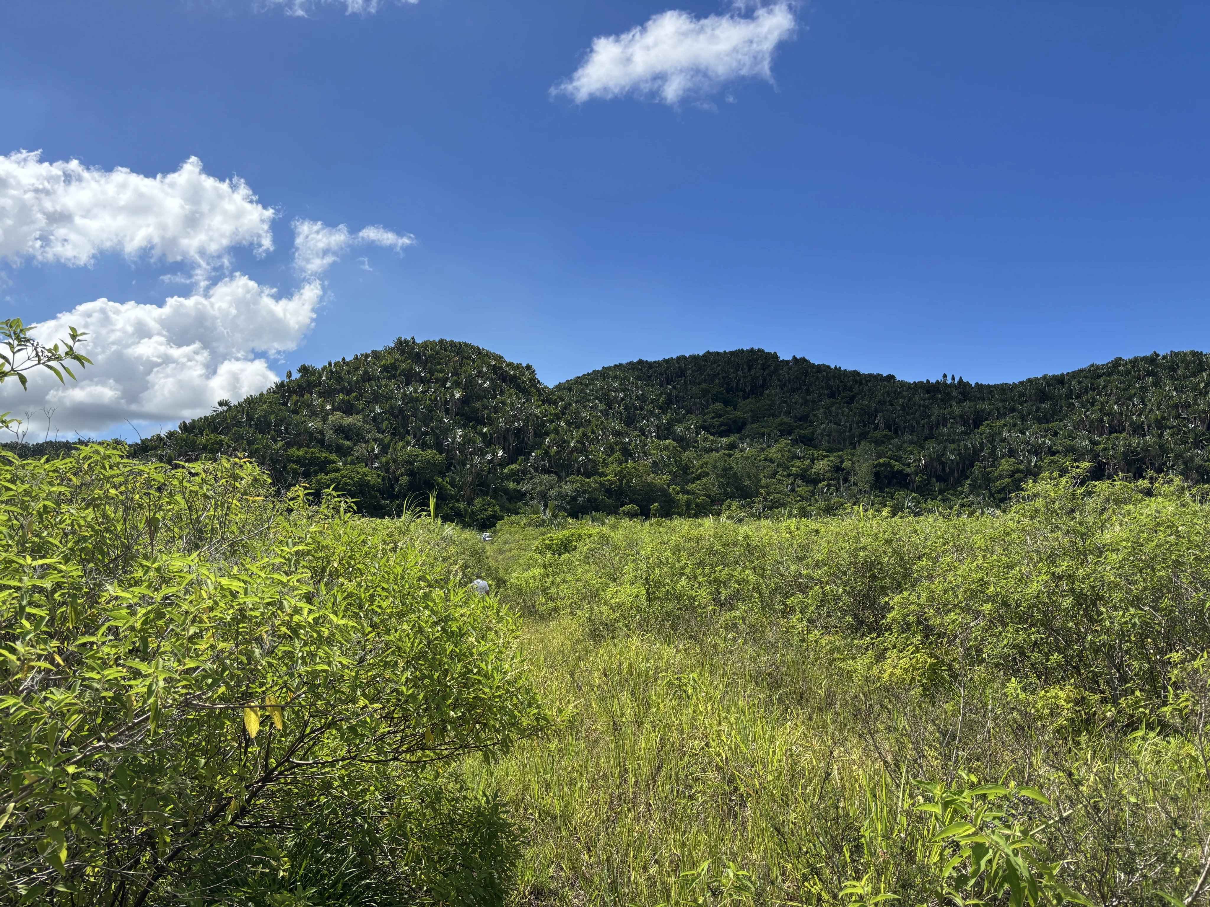 Fc02af5631c629ac377dd5f5d54a9a9c 893bebbd59 4096 original - Attribut alt par défaut.