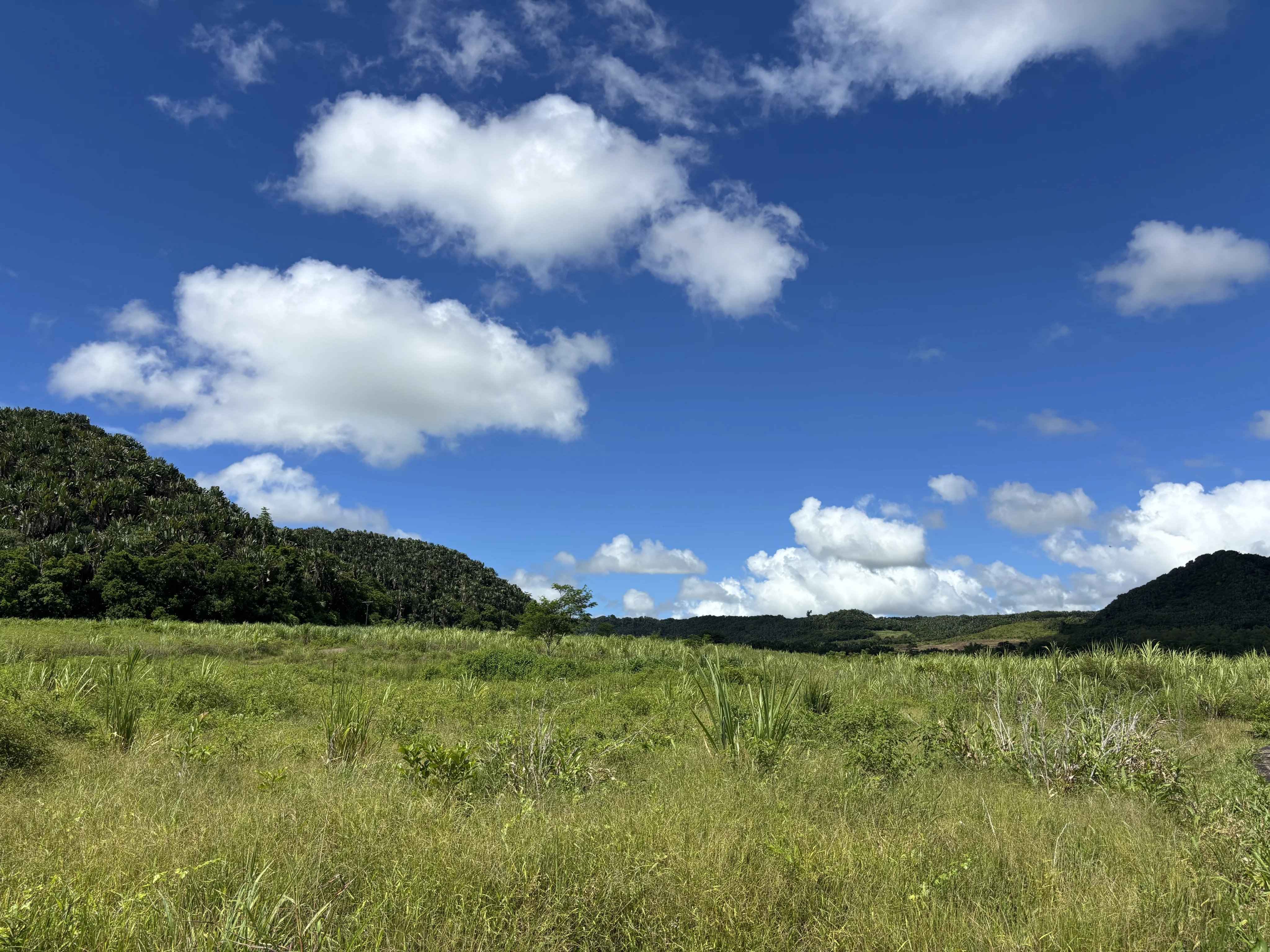 B1843eaaa9bdab2522658dd35ffd1a4d c961891817 4096 original - Attribut alt par défaut.