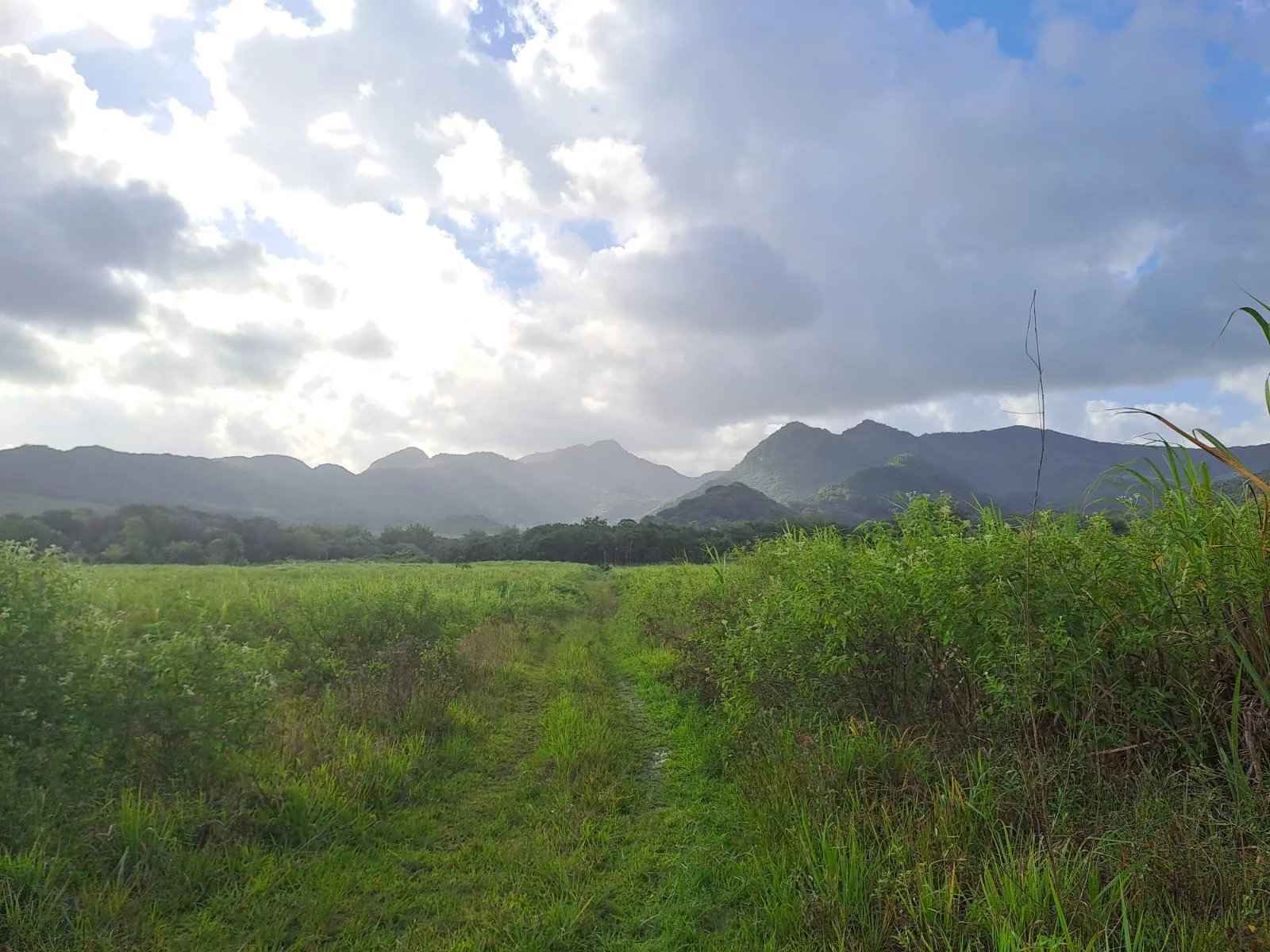 E4ef10c88d114cbef48e5f429c2c2179 9397163424 1600 original - Attribut alt par défaut.