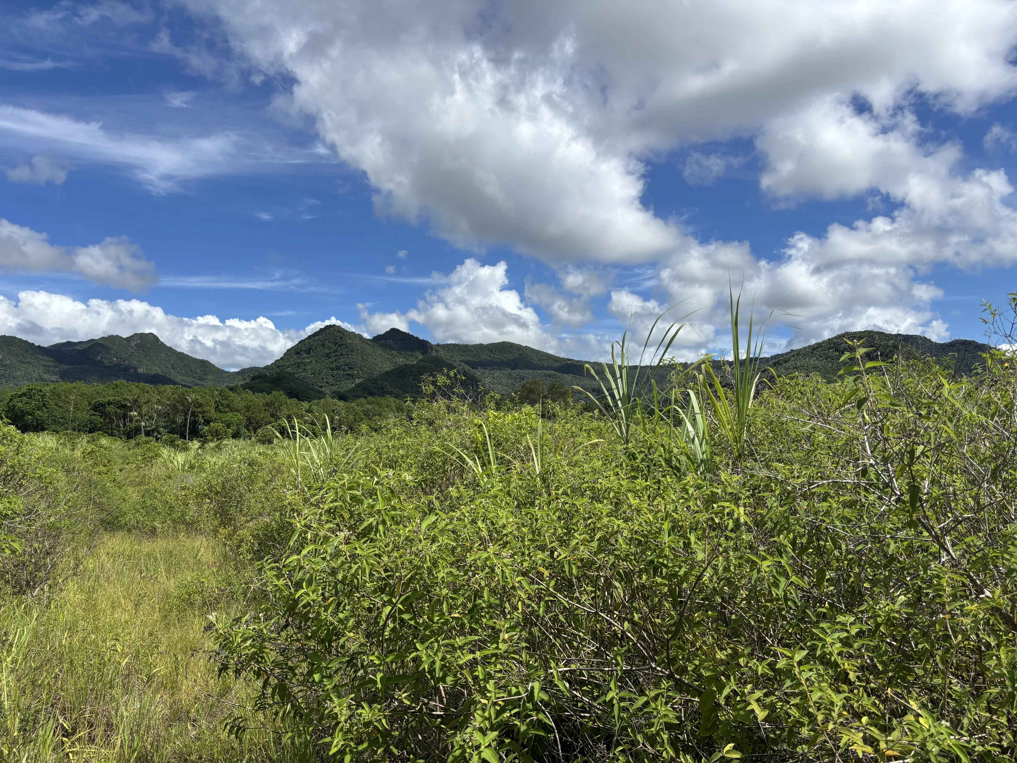 Ff409941144489b1e49a8d22c1734179 1f5d7b865b 4096 original - Attribut alt par défaut.