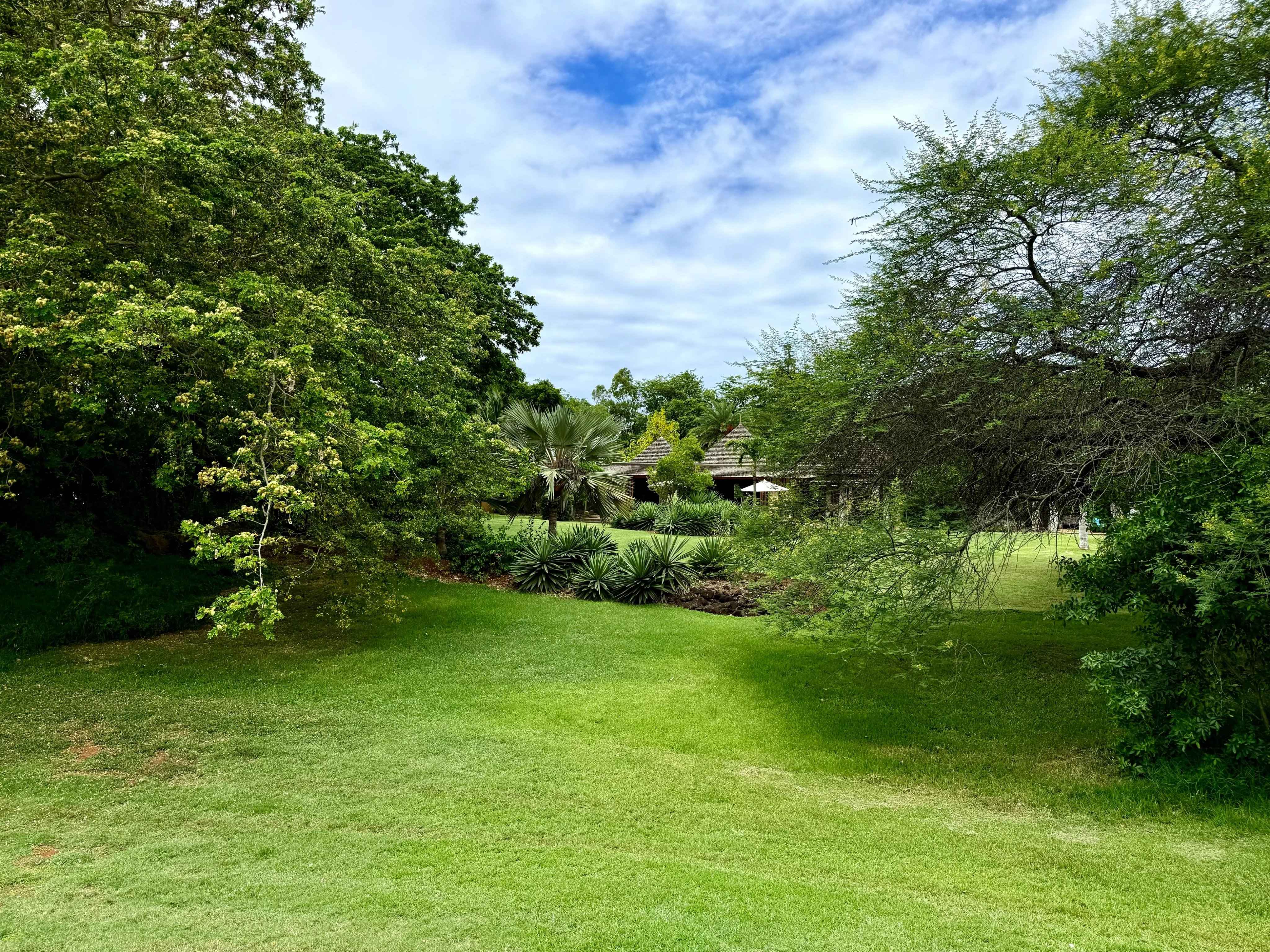 F0f07cb6d17b6aa8b034c7e8d834d590 7ff0d88630 4096 original - Attribut alt par défaut.