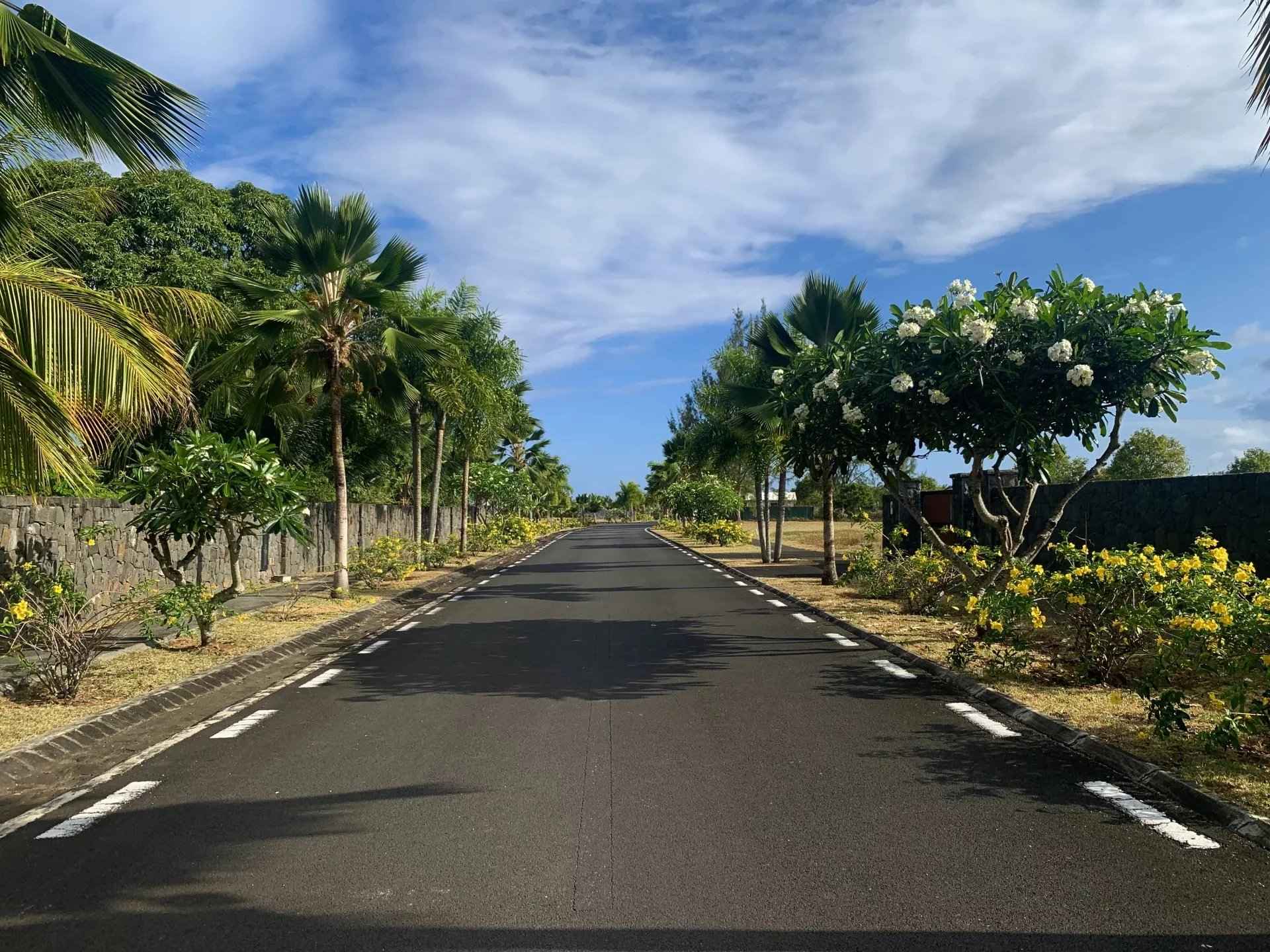 1a98fd77f6182a46bf053deef0836b94 c4d2435c57 1920 original - Translation missing: en.helpers.application.image_tag.default_alt