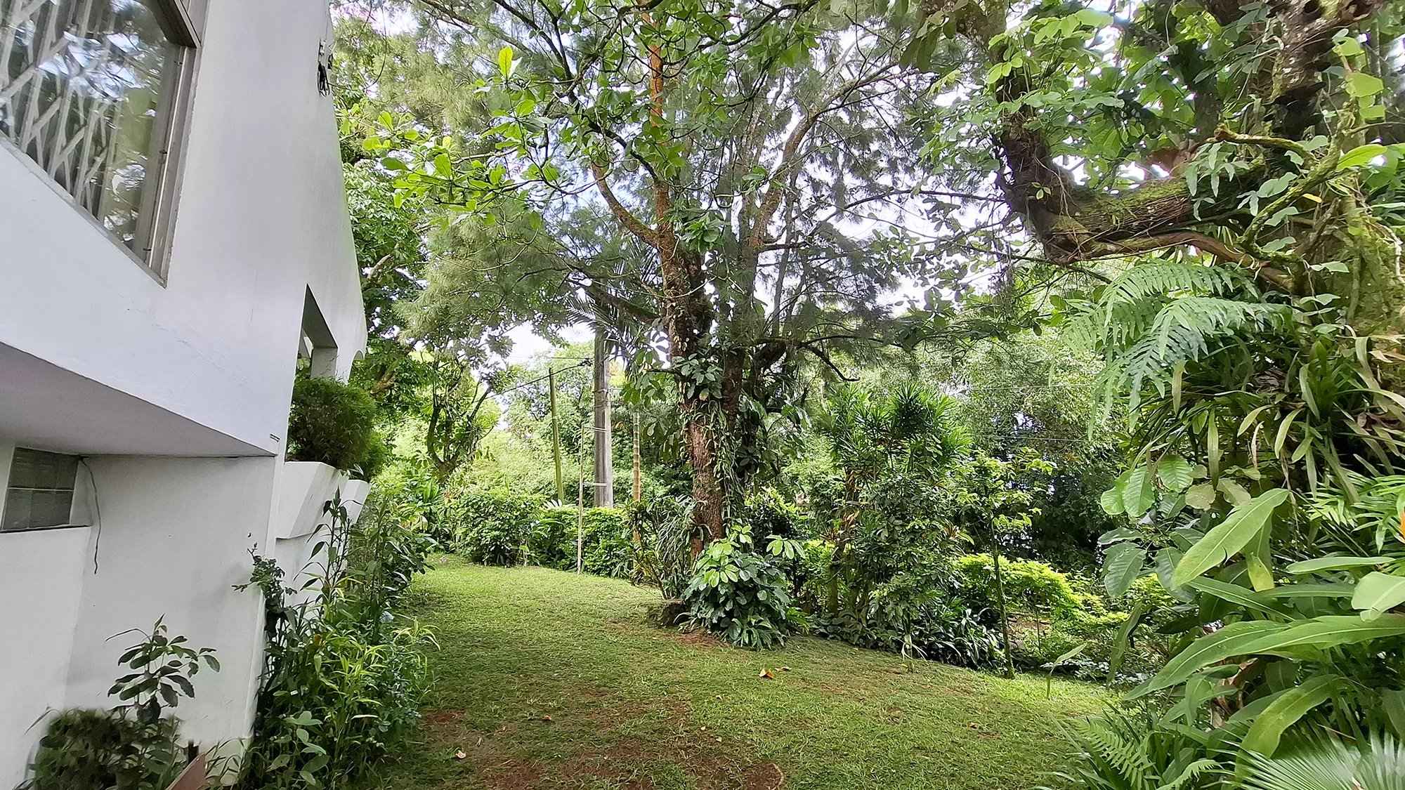 98982e742111cad301773ab55411282f be3b622976 2000 original - Attribut alt par défaut.