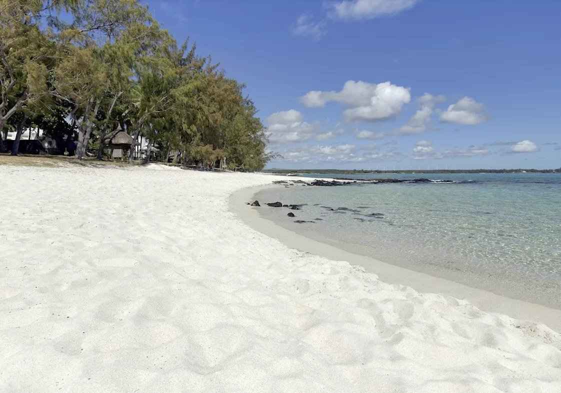 032caf9e08b3bf610cf36d915901fc2f a5805422b5 1122 original - Attribut alt par défaut.