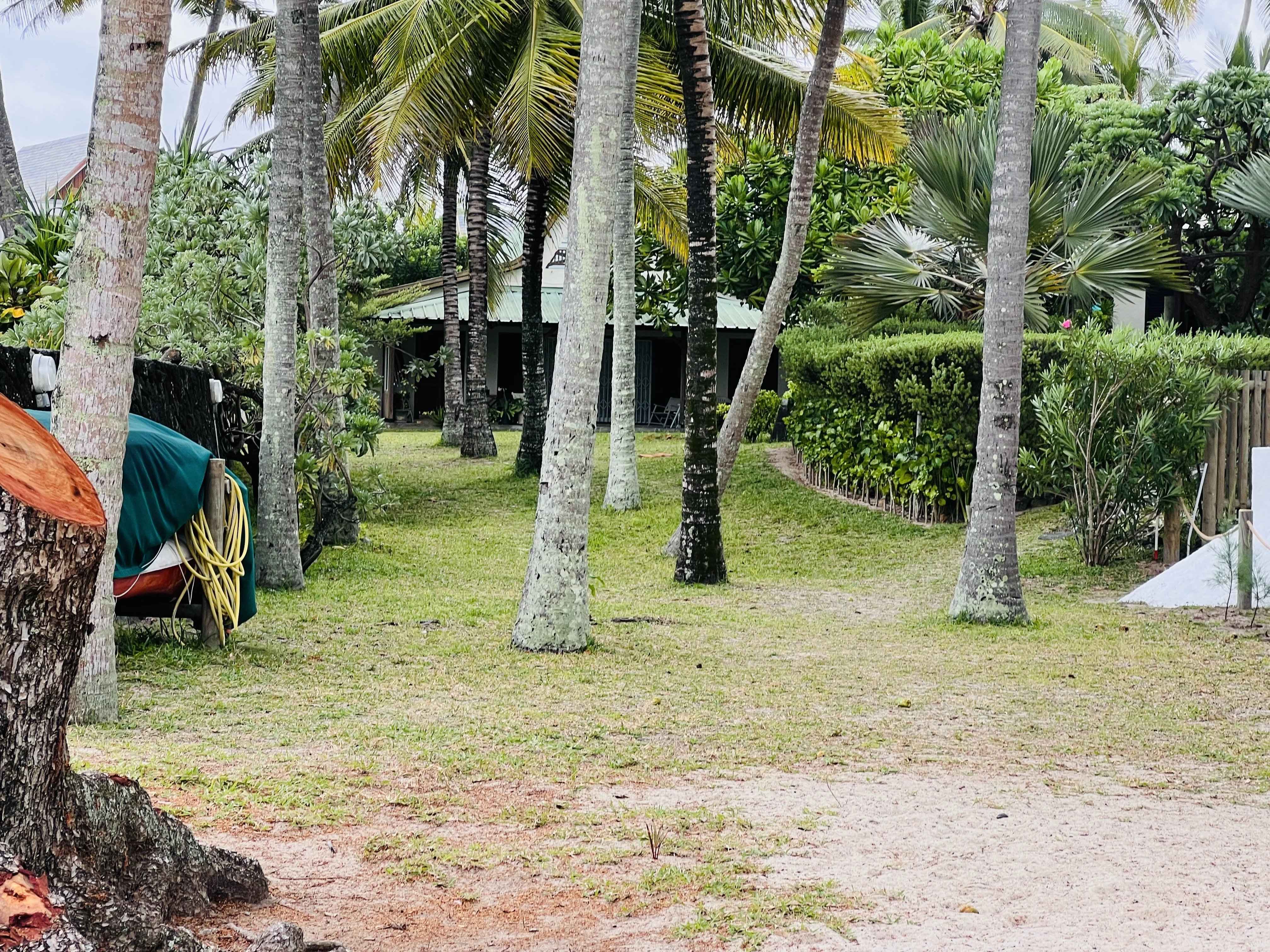 2c1db6c3bfd8fe2ca930154a360b602c 71384c4f45 4032 original - Attribut alt par défaut.