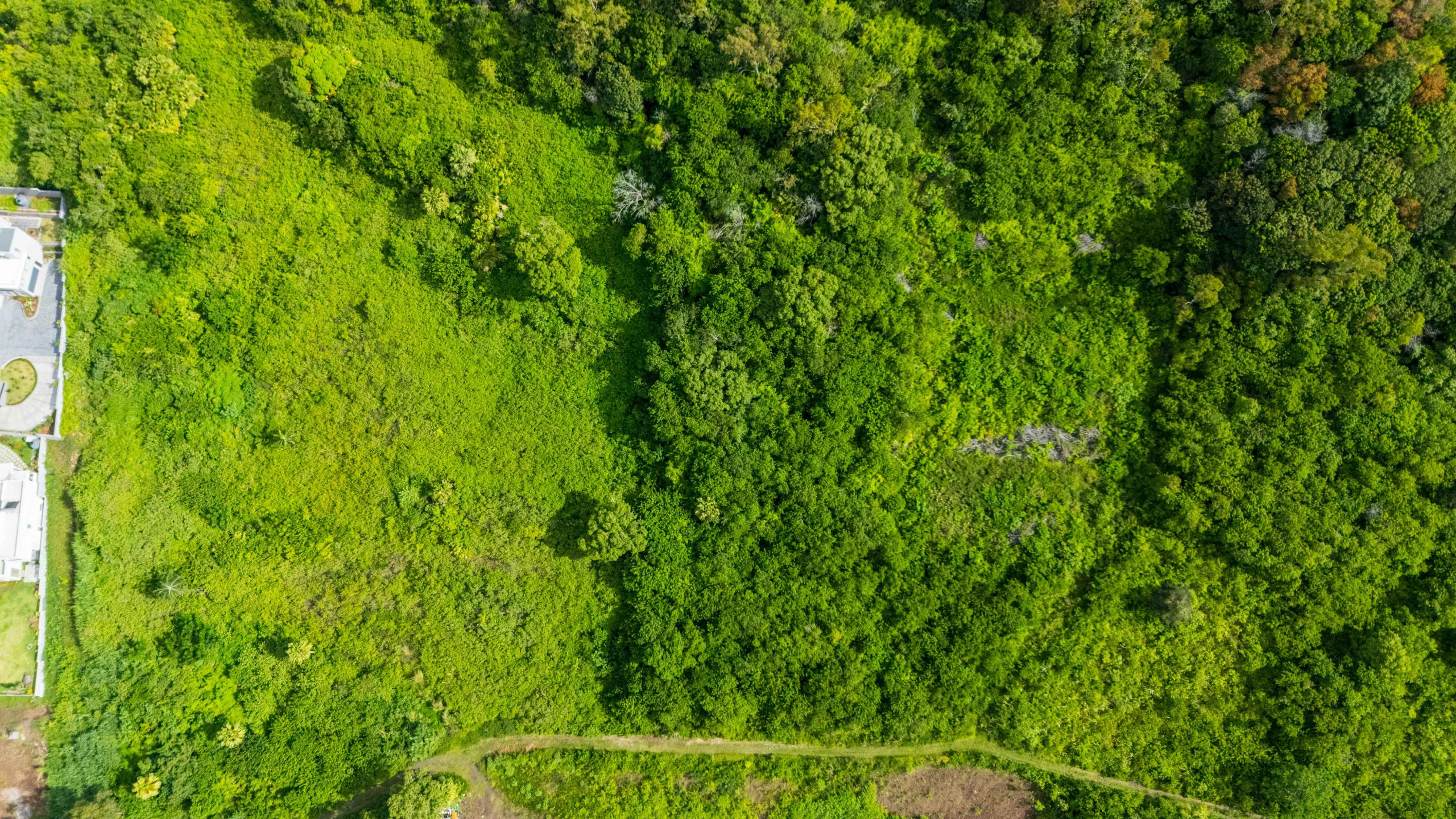 341017a7ccbe71dd63b06be9f08879bf 8b9cc23df8 4096 original - Translation missing: en.helpers.application.image_tag.default_alt