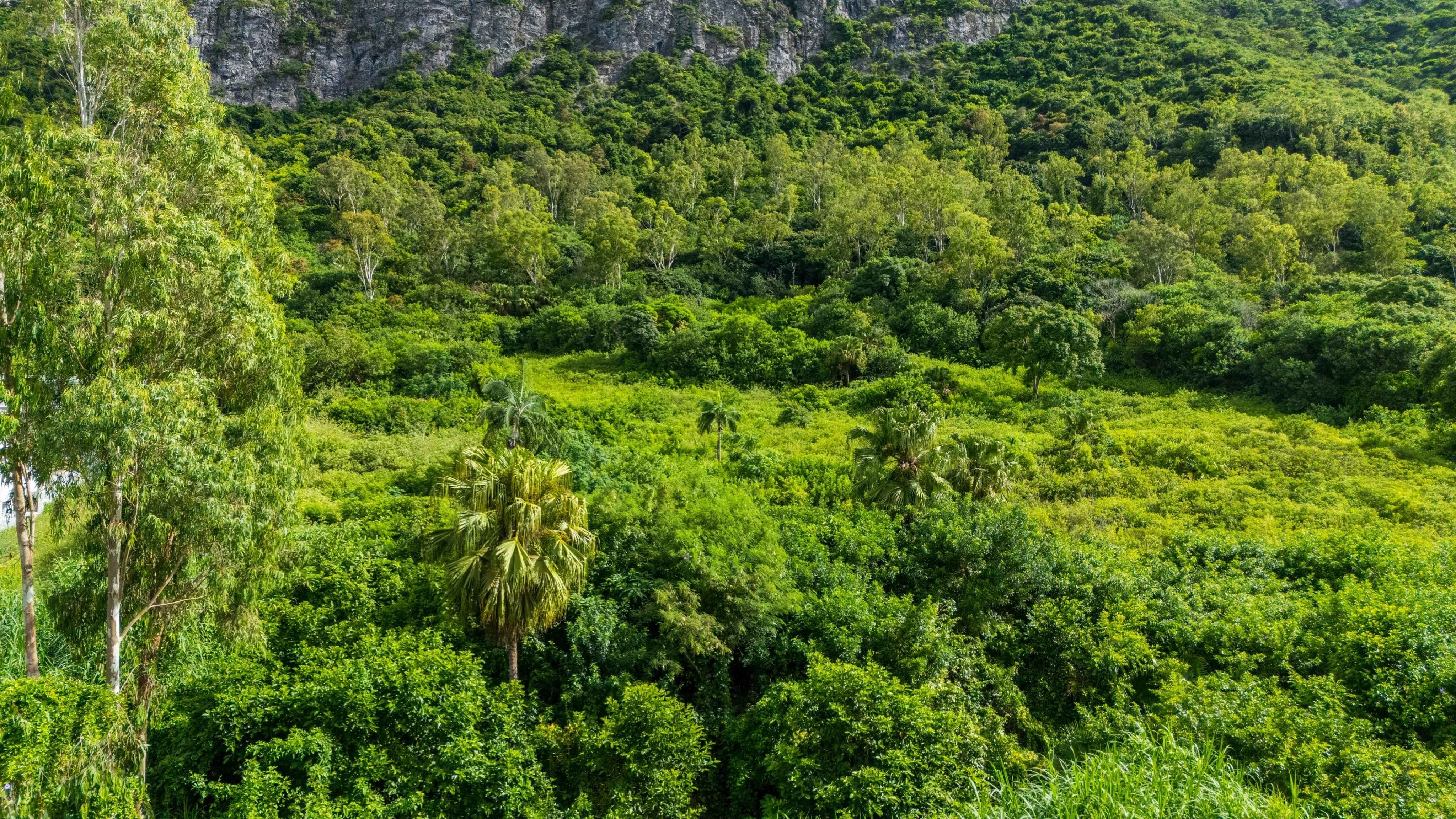 6e8f4c34bbf35d0325c958f801e25403 f94993755d 4096 original - Translation missing: en.helpers.application.image_tag.default_alt