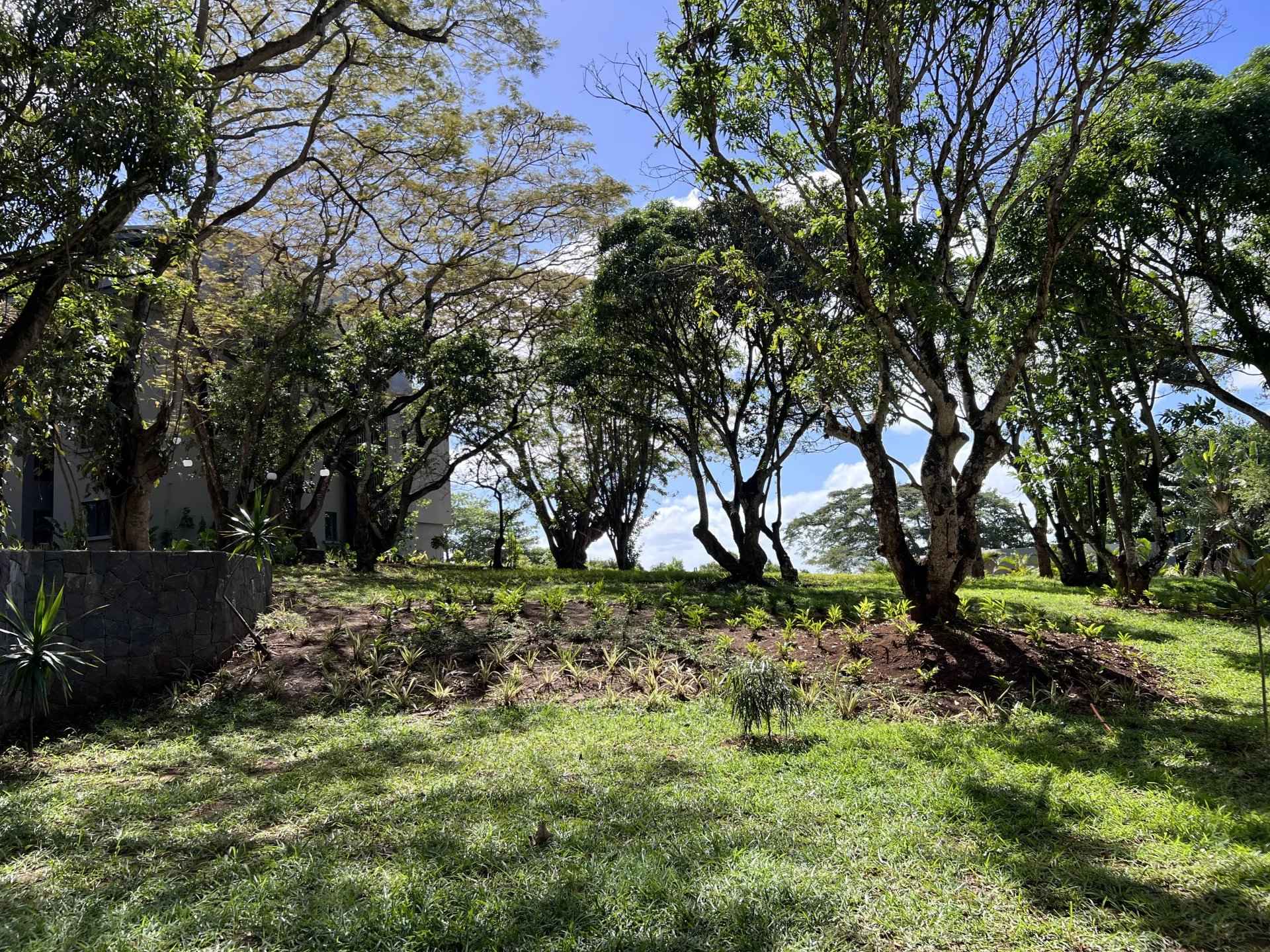 Fd689b28ce4ebffb7105a1ef88bf0330 eb1afeb71c 1920 original - Translation missing: en.helpers.application.image_tag.default_alt